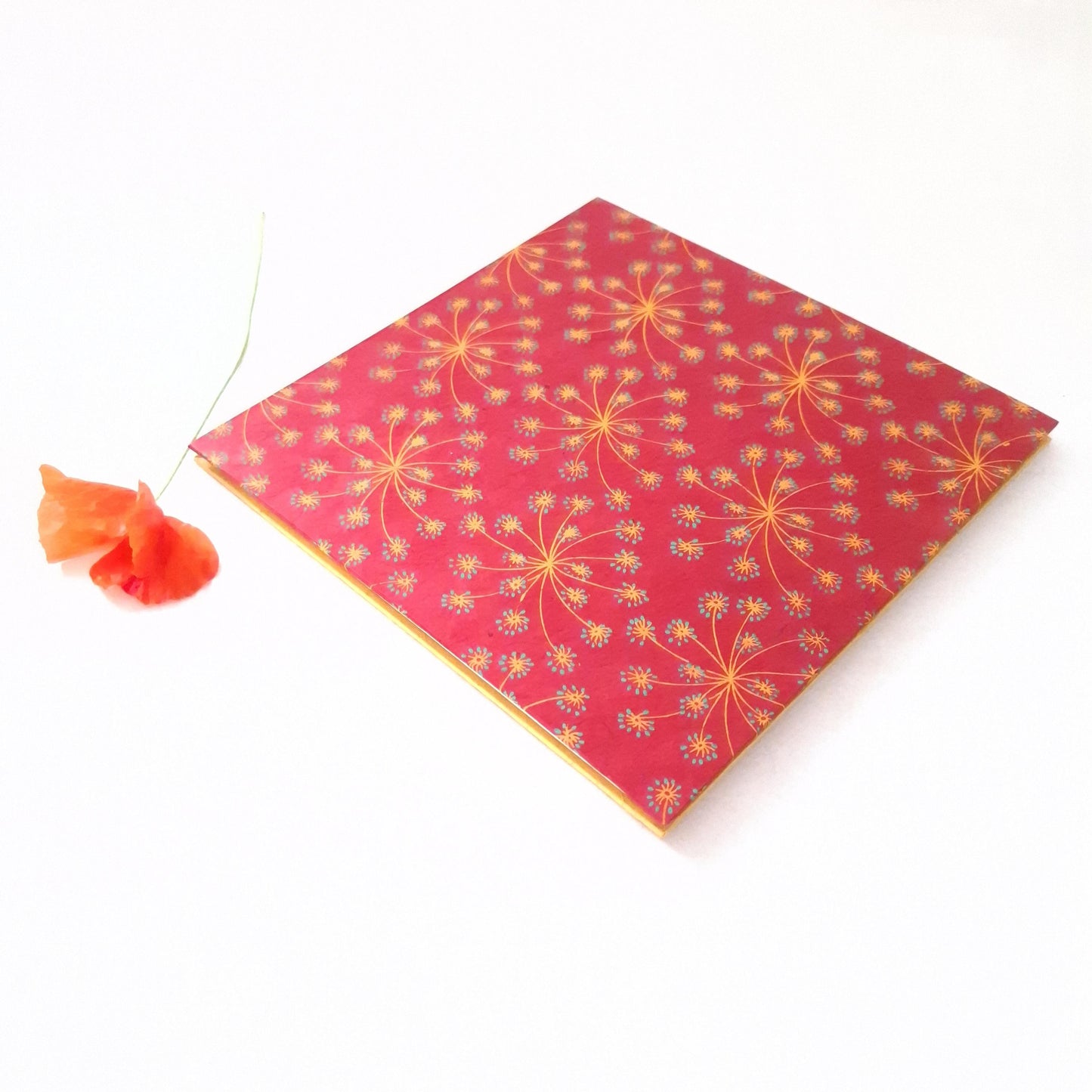 Album a fisarmonica quadrato con fiori di Carota Selvatica