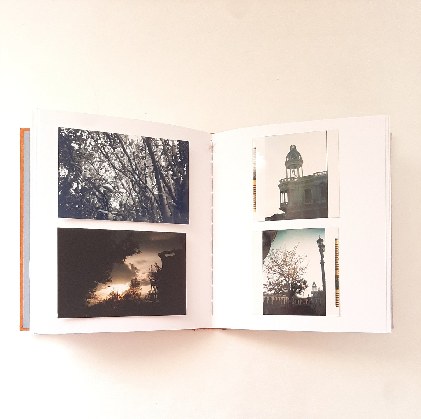 Album fotografico con acquarello botanico di foglie in ruggine e viola