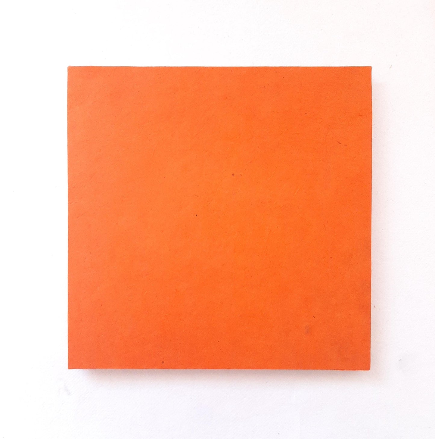 Album a Leporello con animaletti del Tangram