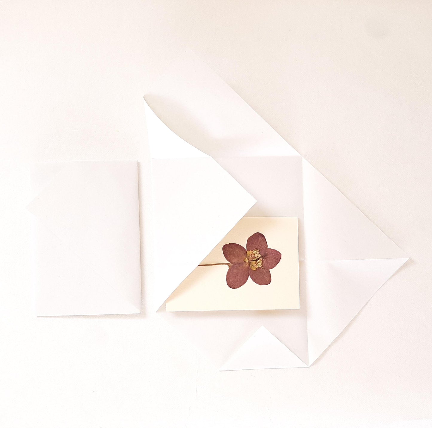 Set di tre biglietti auguri con fiori veri pressati e busta a origami