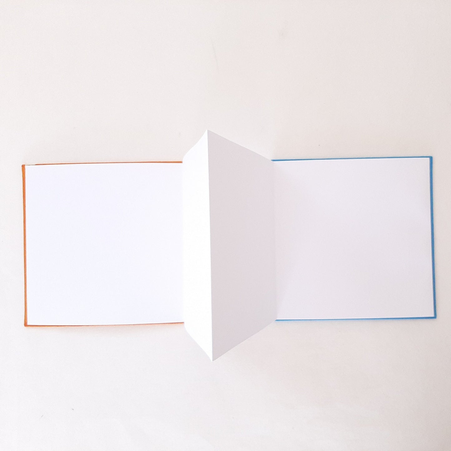 Leporello quadrato con tigre in arancione e azzurro
