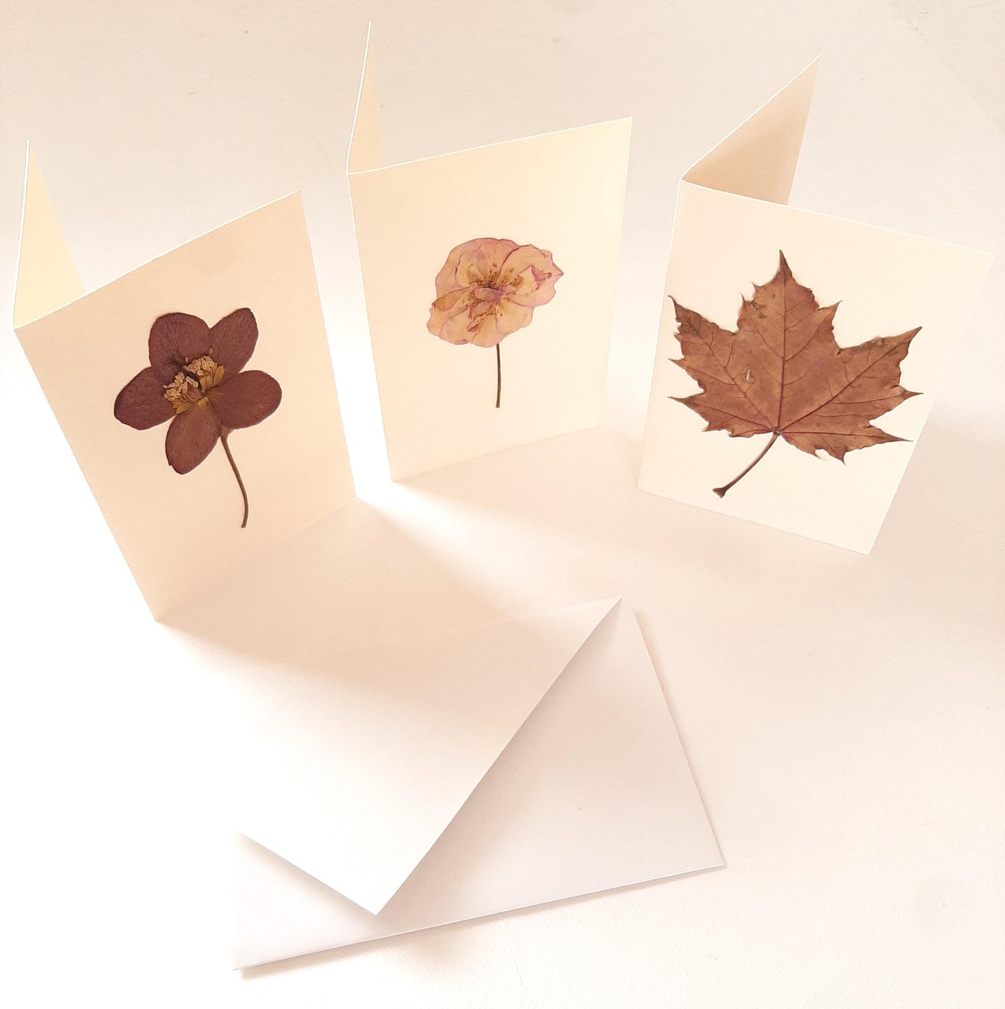 Set di tre biglietti auguri con fiori veri pressati e busta a origami