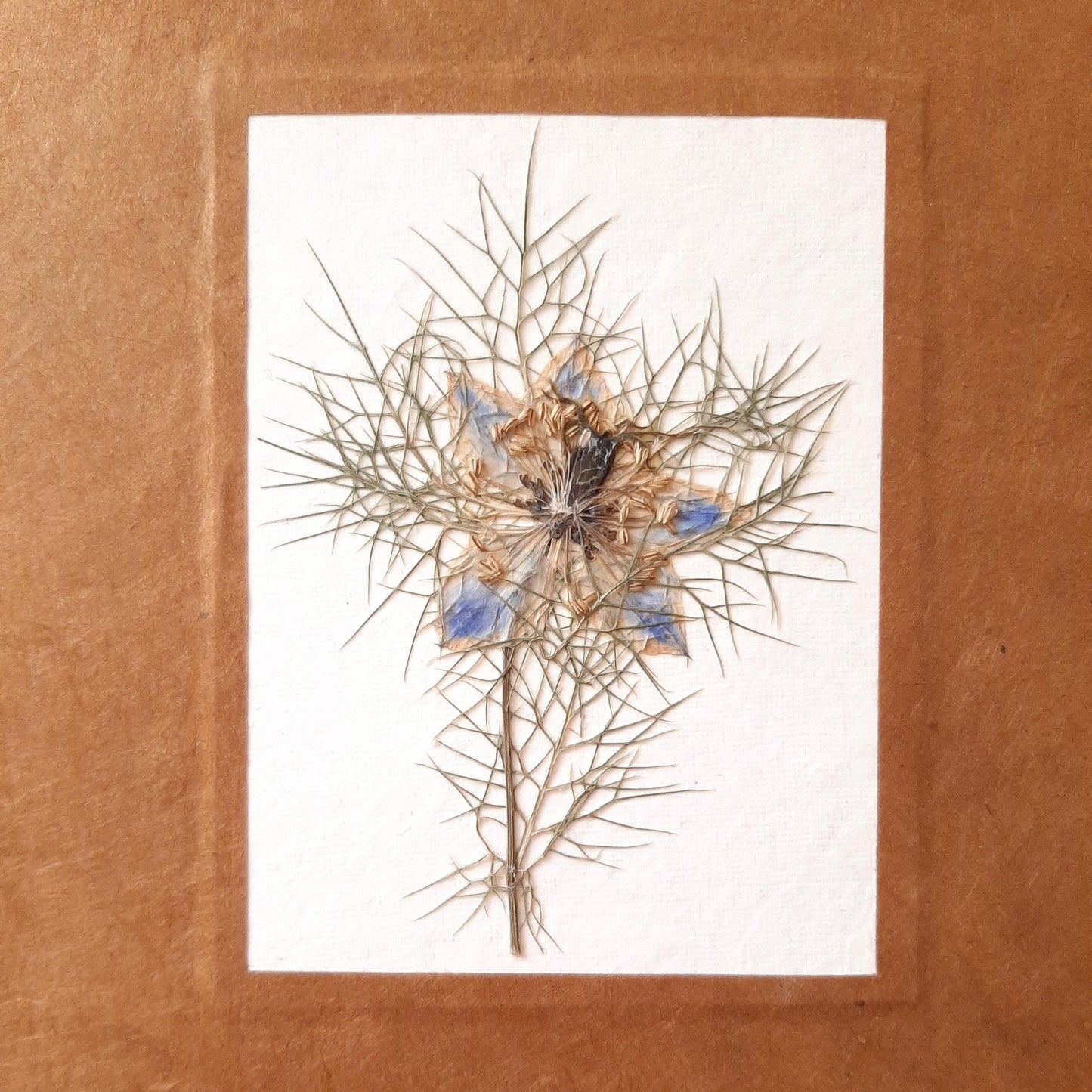 Album fotografico grande con fiore pressato di Nigella in ocra e azzurro pervinca