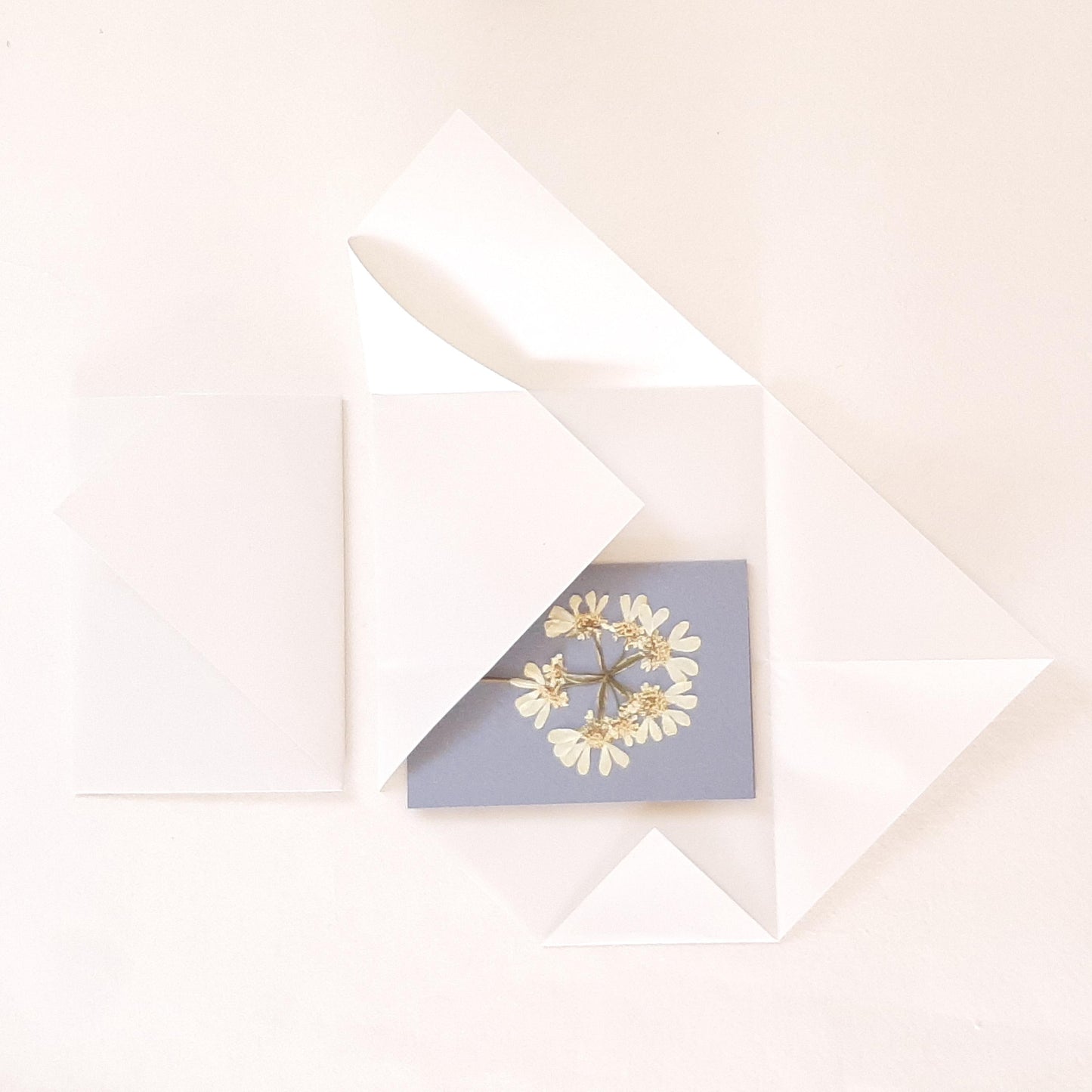 Set di biglietti di auguri con foglie e fiori veri pressati e busta Origami