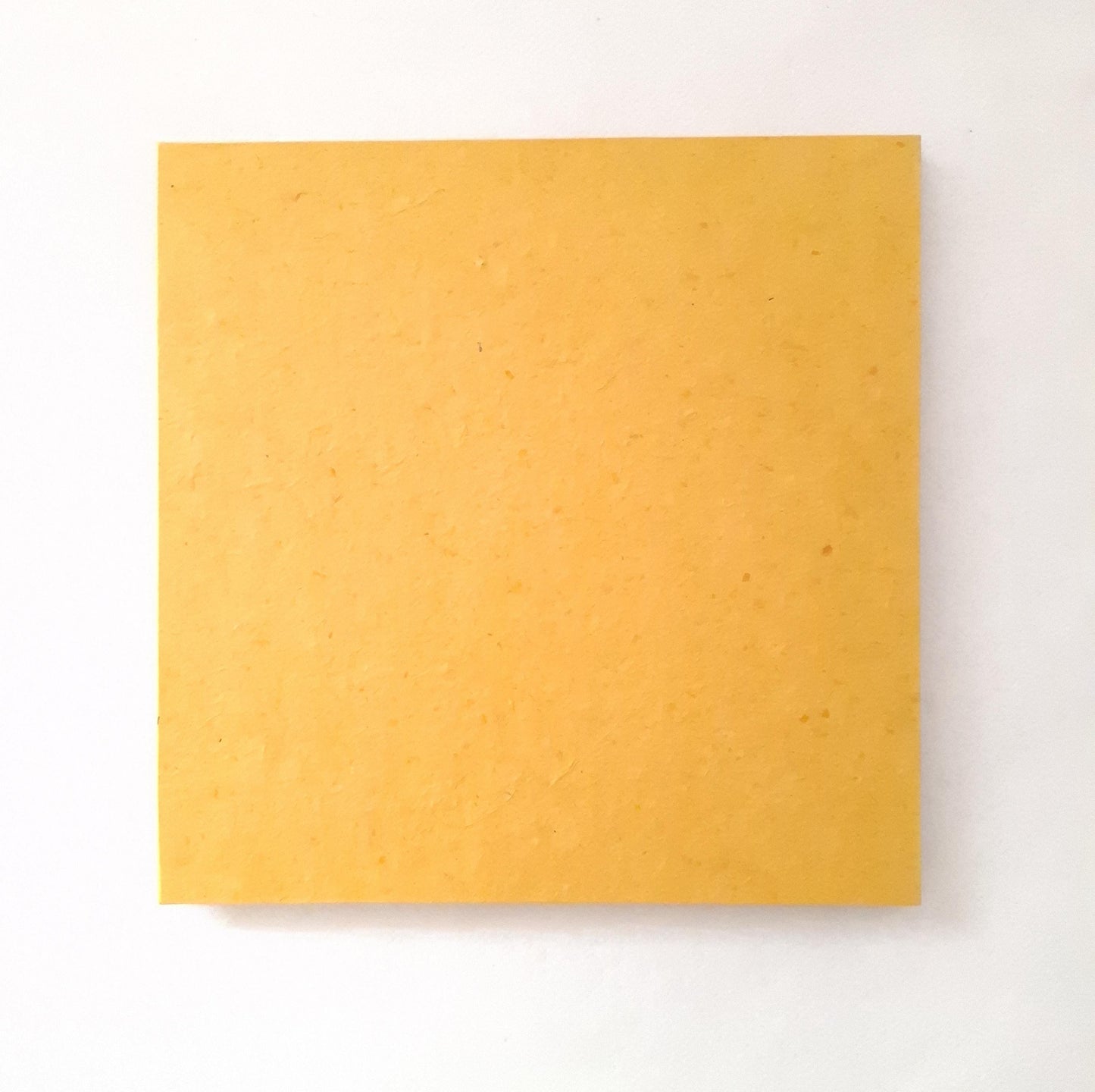Album a fisarmonica quadrato con fiori di Carota Selvatica