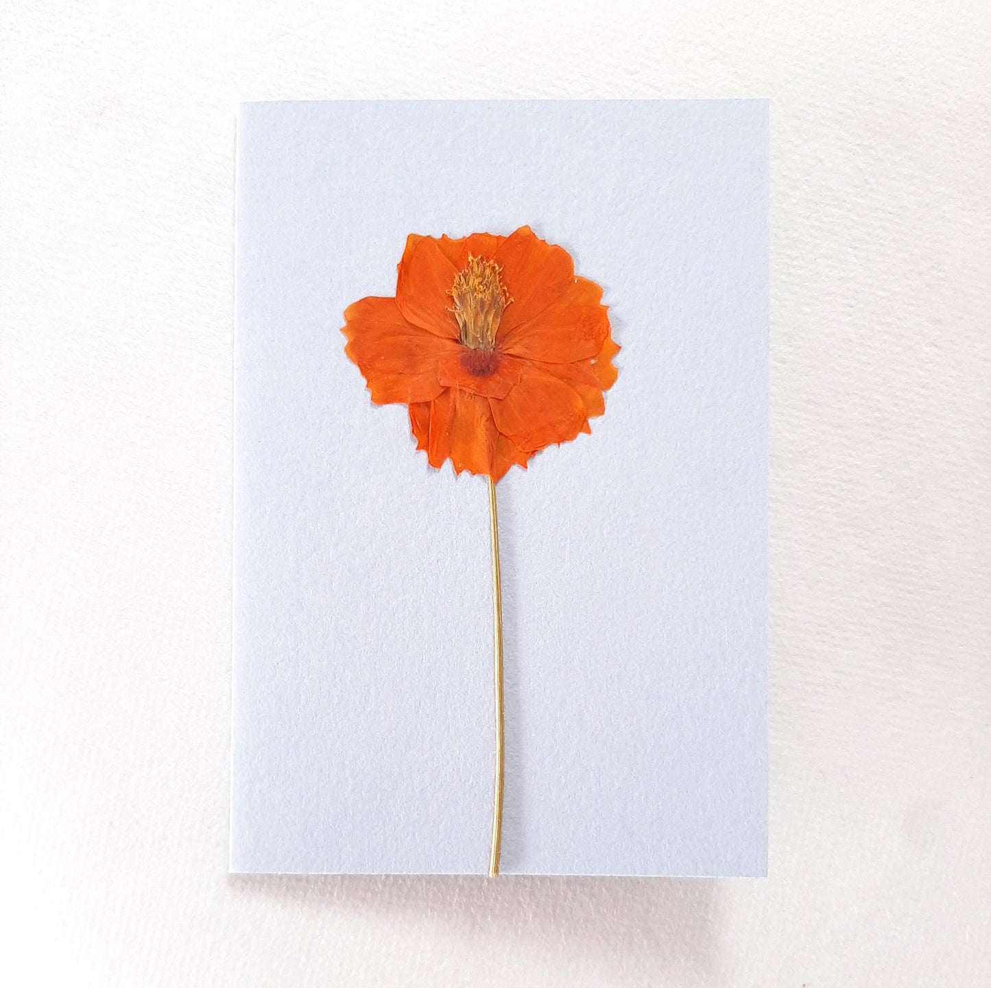 Set di tre biglietti con fiori e foglie veri pressati e busta origami