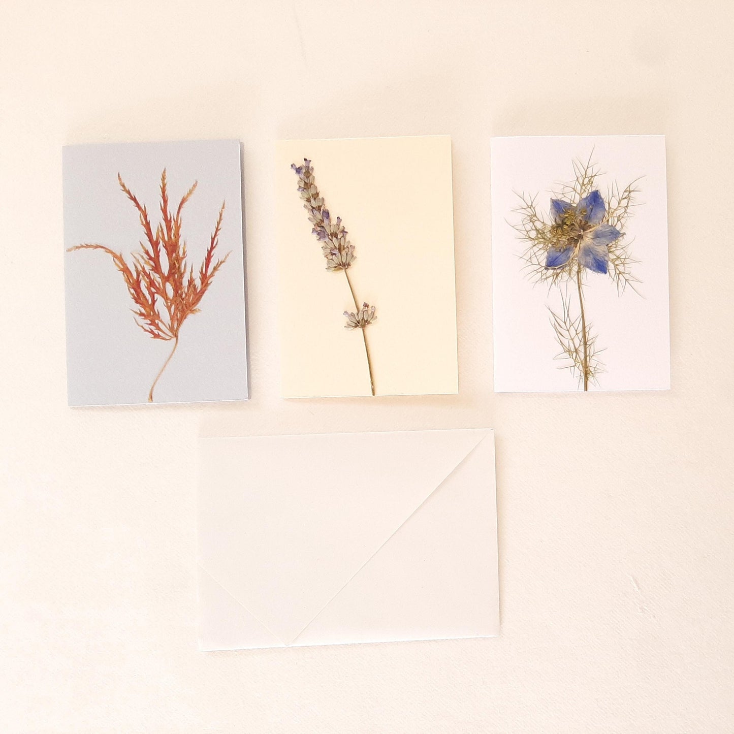 Set di tre biglietti floreali con busta con Lavanda e Acero Giapponese