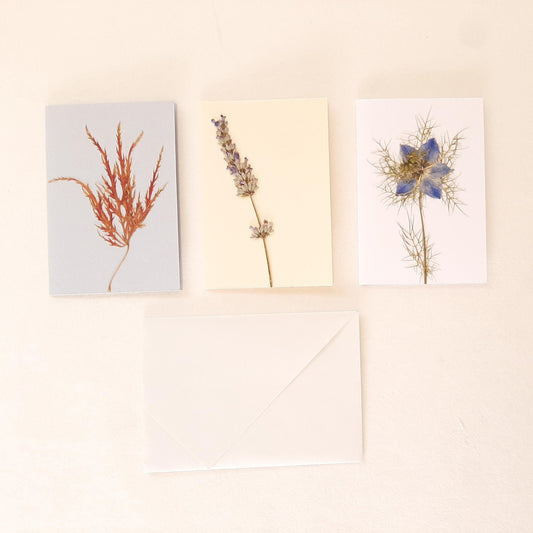 Set di tre biglietti floreali con busta con Lavanda e Acero Giapponese