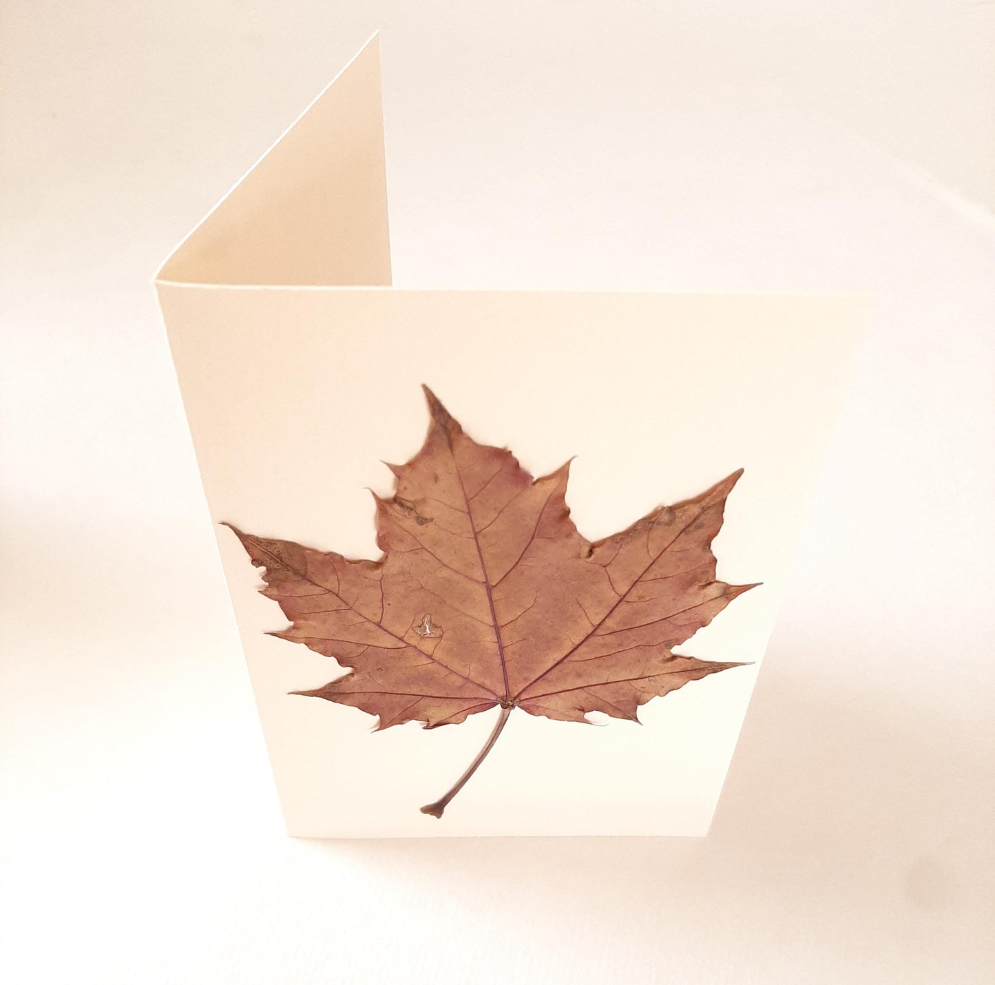 Set di tre biglietti auguri con fiori veri pressati e busta a origami