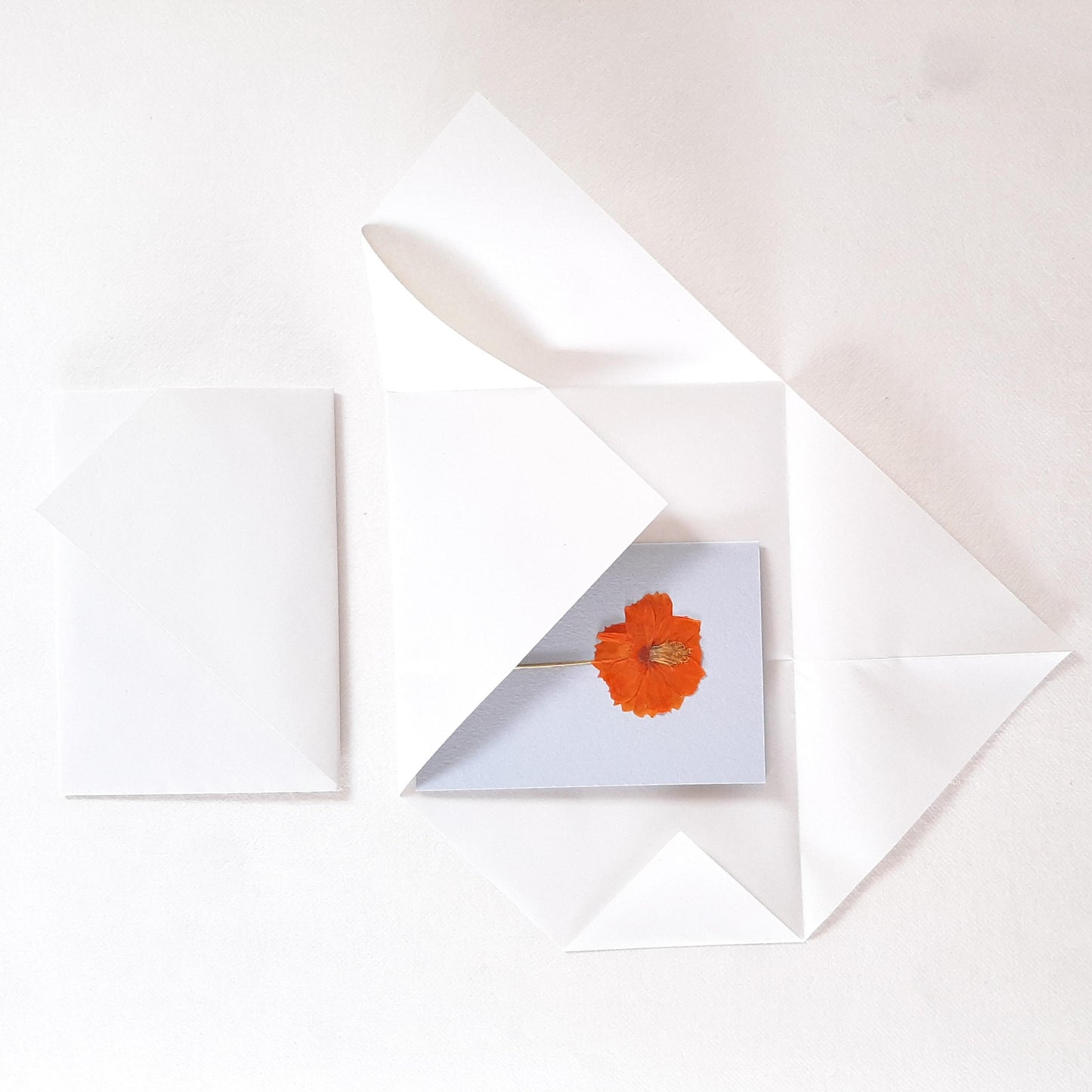 Set di tre biglietti con fiori e foglie veri pressati e busta origami