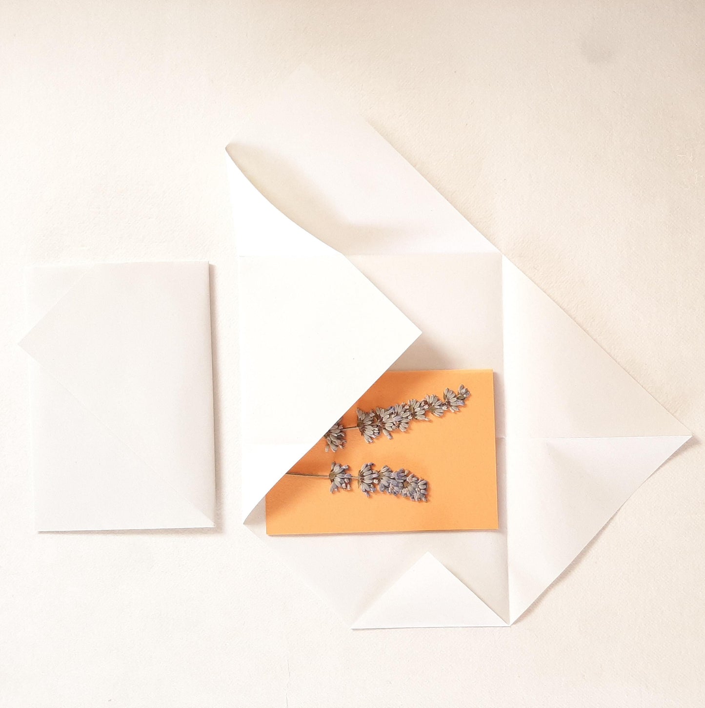 Biglietti con fiori pressati e busta Origami con Ortensia e Lavanda