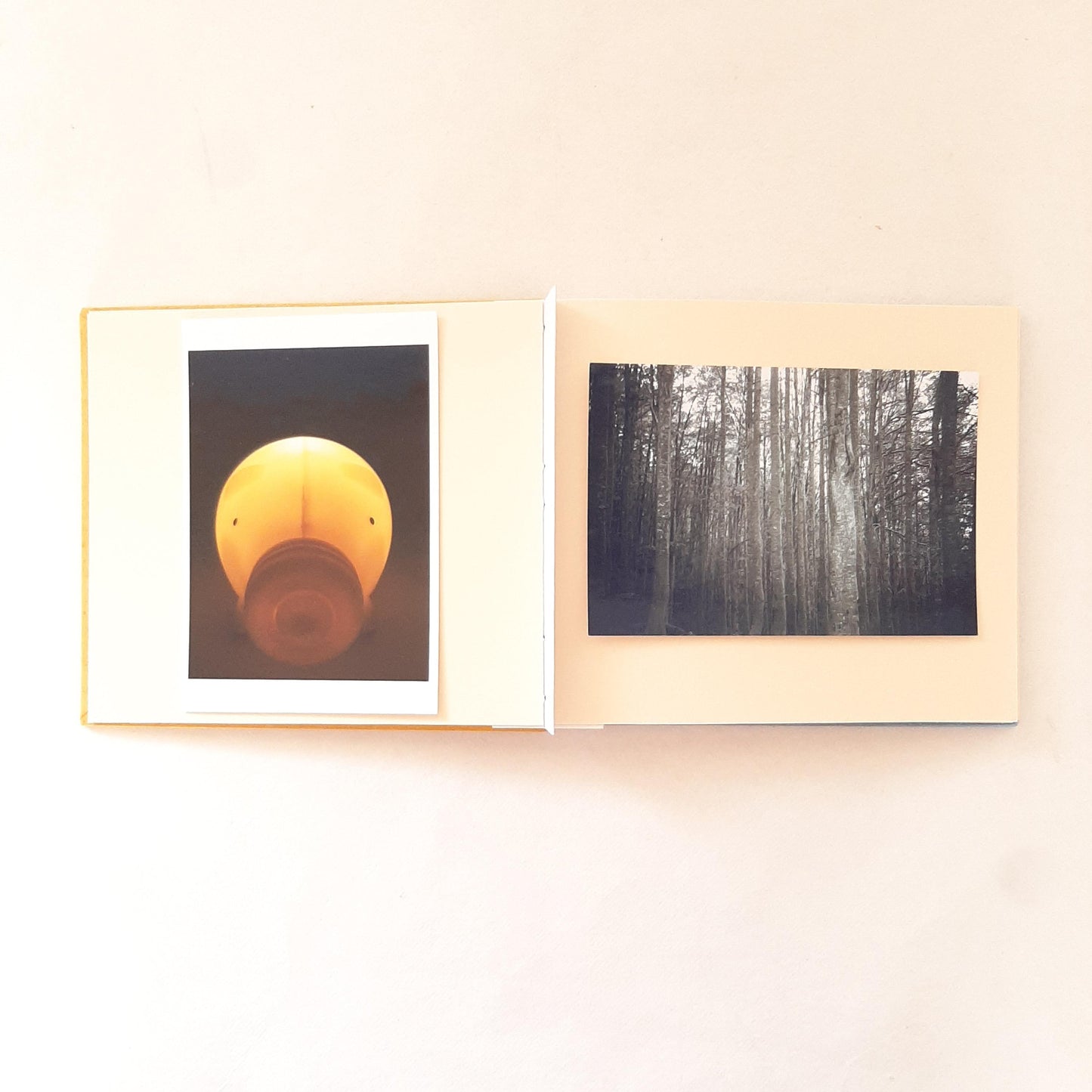 Mini album con foglie di Ginkgo ricamate in copertina