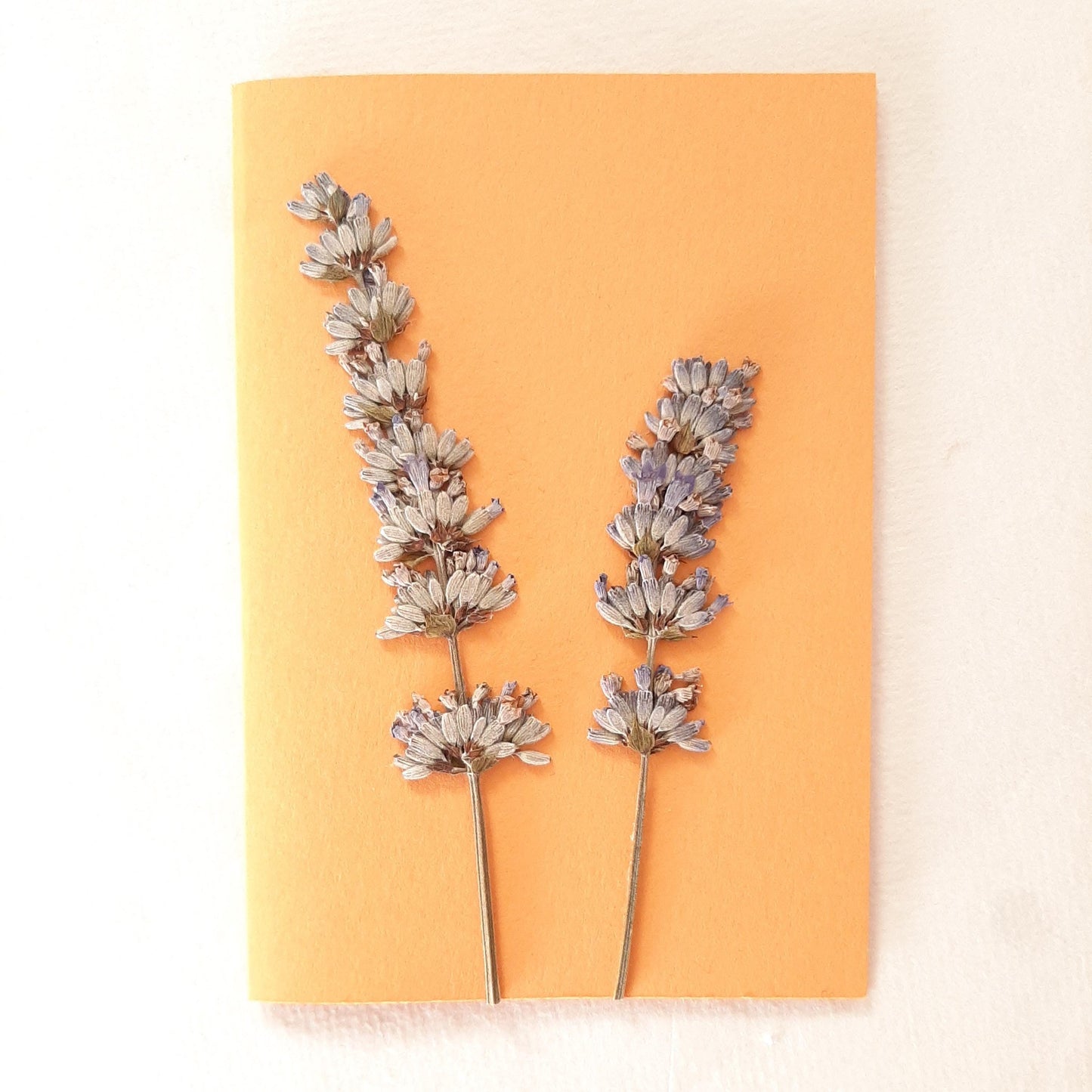 Biglietti con fiori pressati e busta Origami con Ortensia e Lavanda