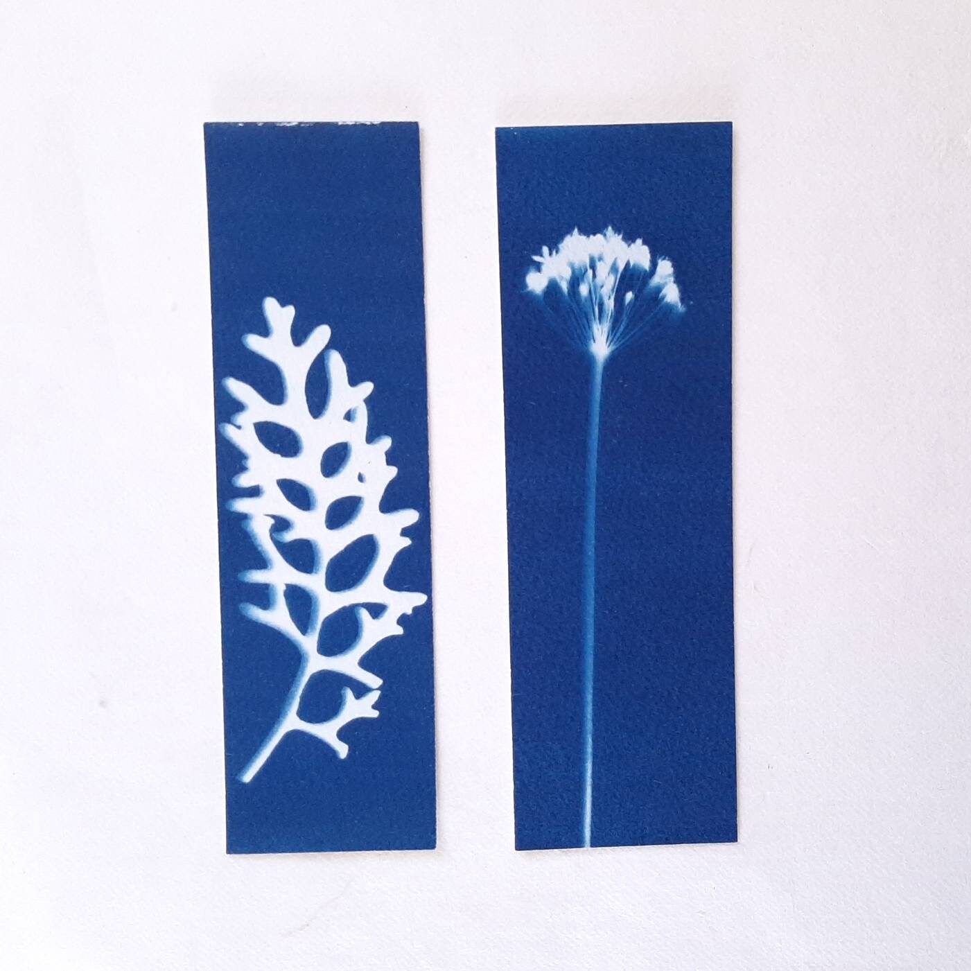 Set di quattro segnalibri con stampa botanica a Cianotipo