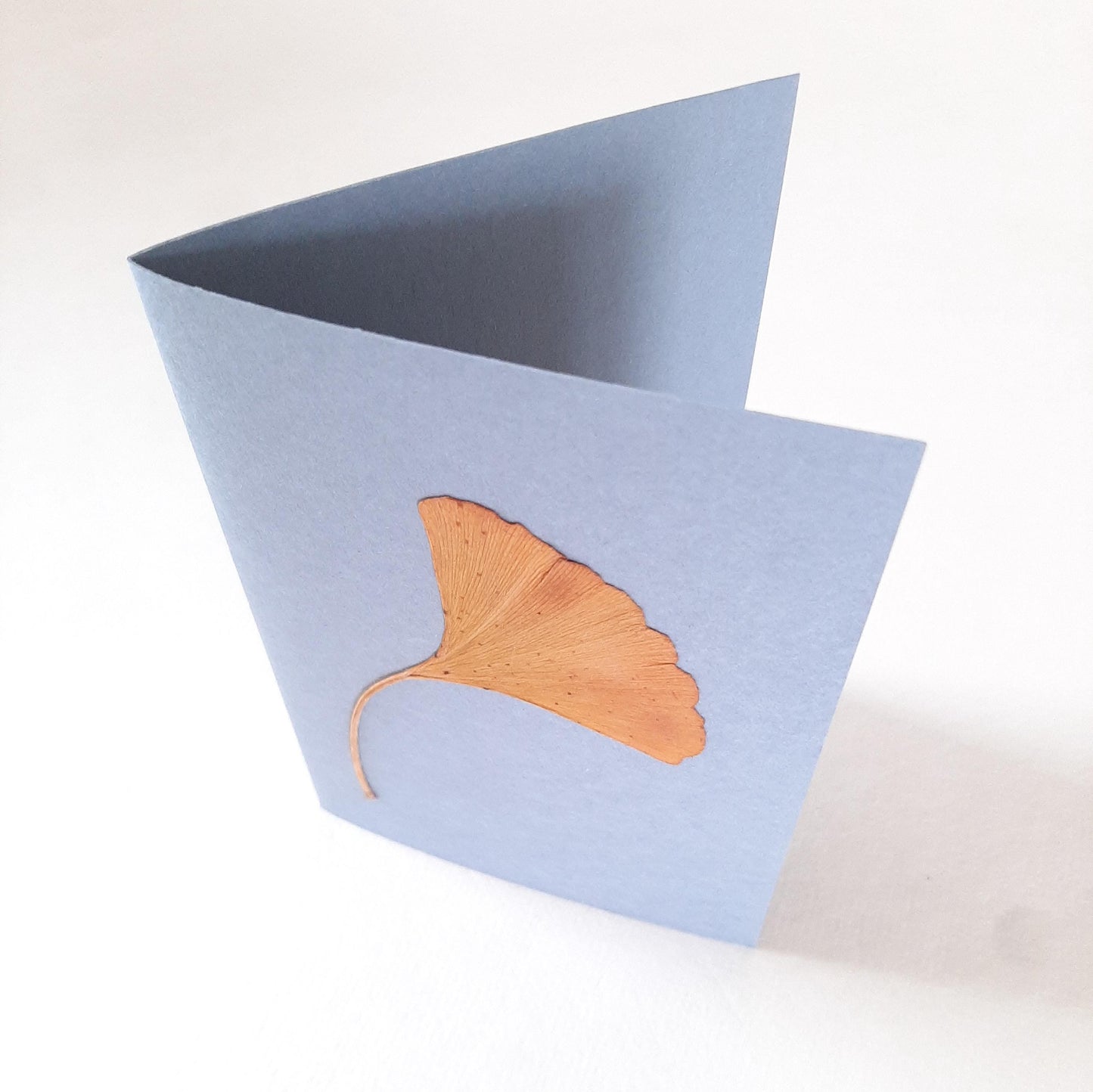 Set di tre biglietti con fiori e foglie veri pressati e busta origami