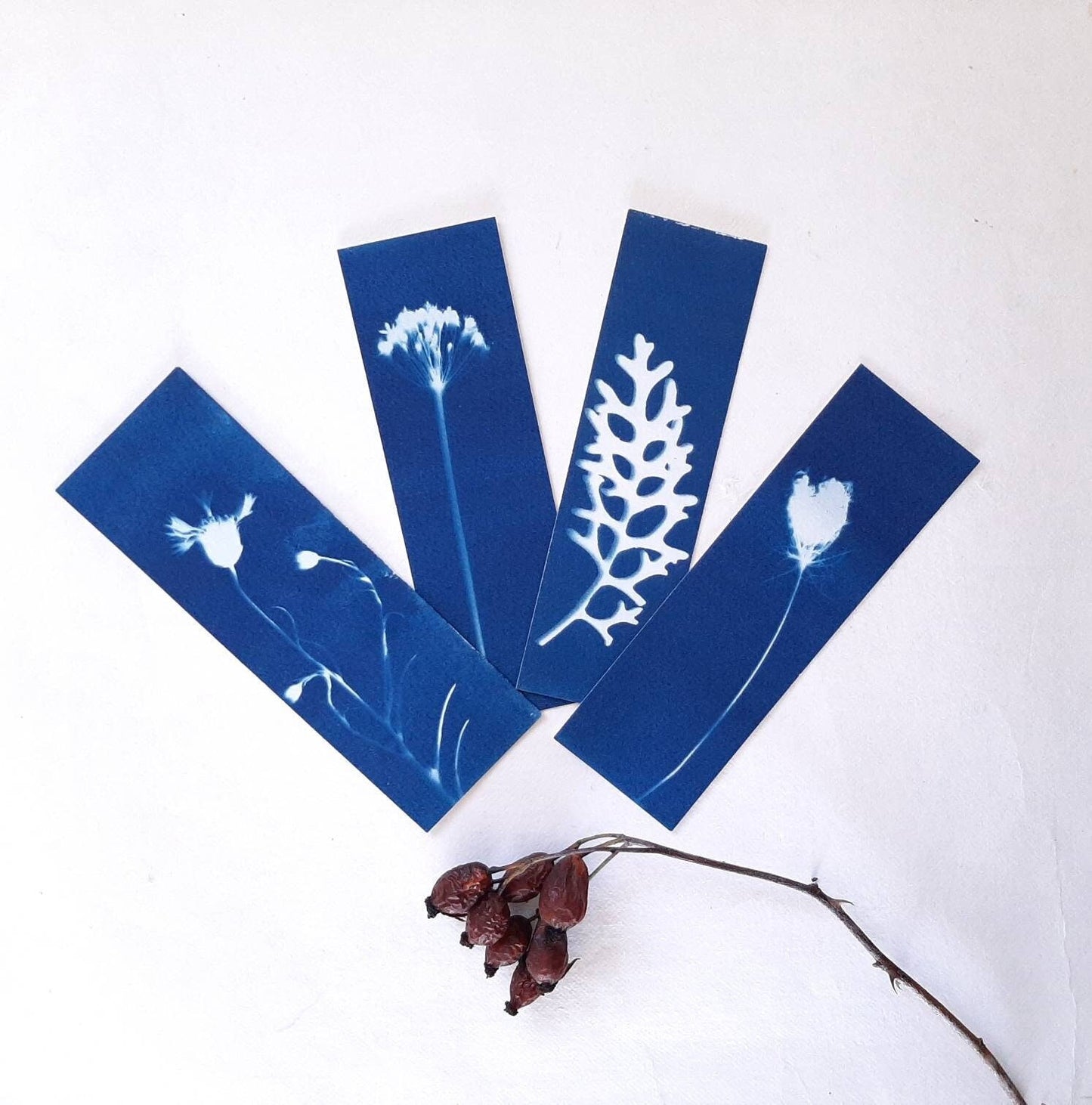 Set di quattro segnalibri con stampa botanica a Cianotipo