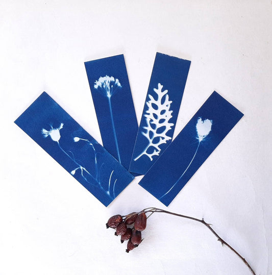 Set di quattro segnalibri con stampa botanica a Cianotipo