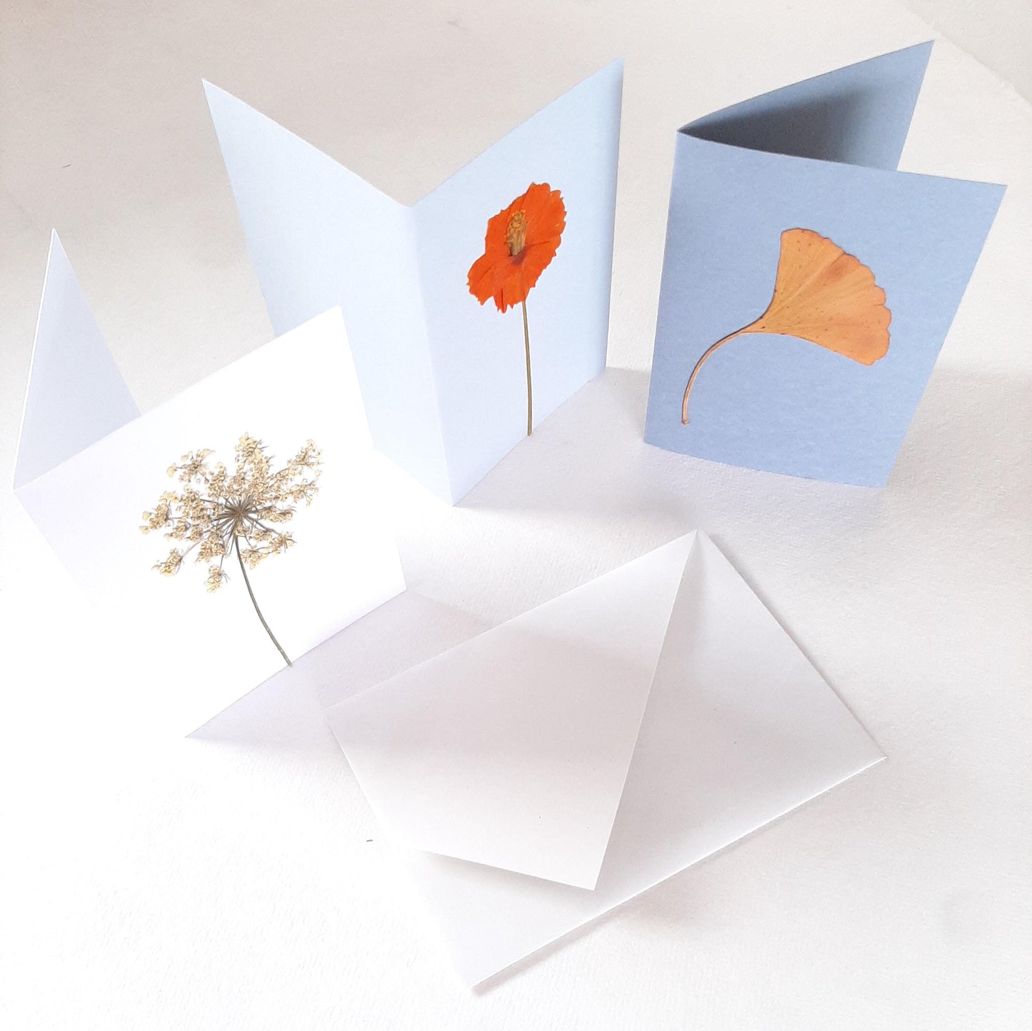 Set di tre biglietti con fiori e foglie veri pressati e busta origami