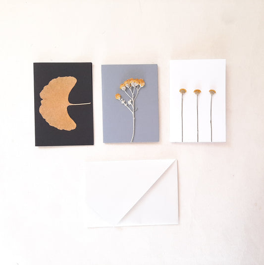 Set di tre biglietti auguri con foglia di Ginkgo e fiori pressati