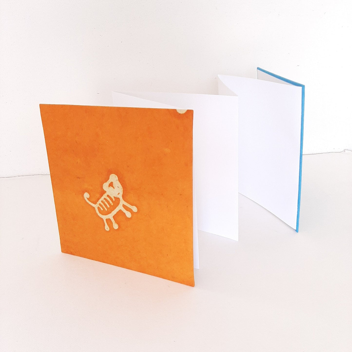 Leporello quadrato con tigre in arancione e azzurro