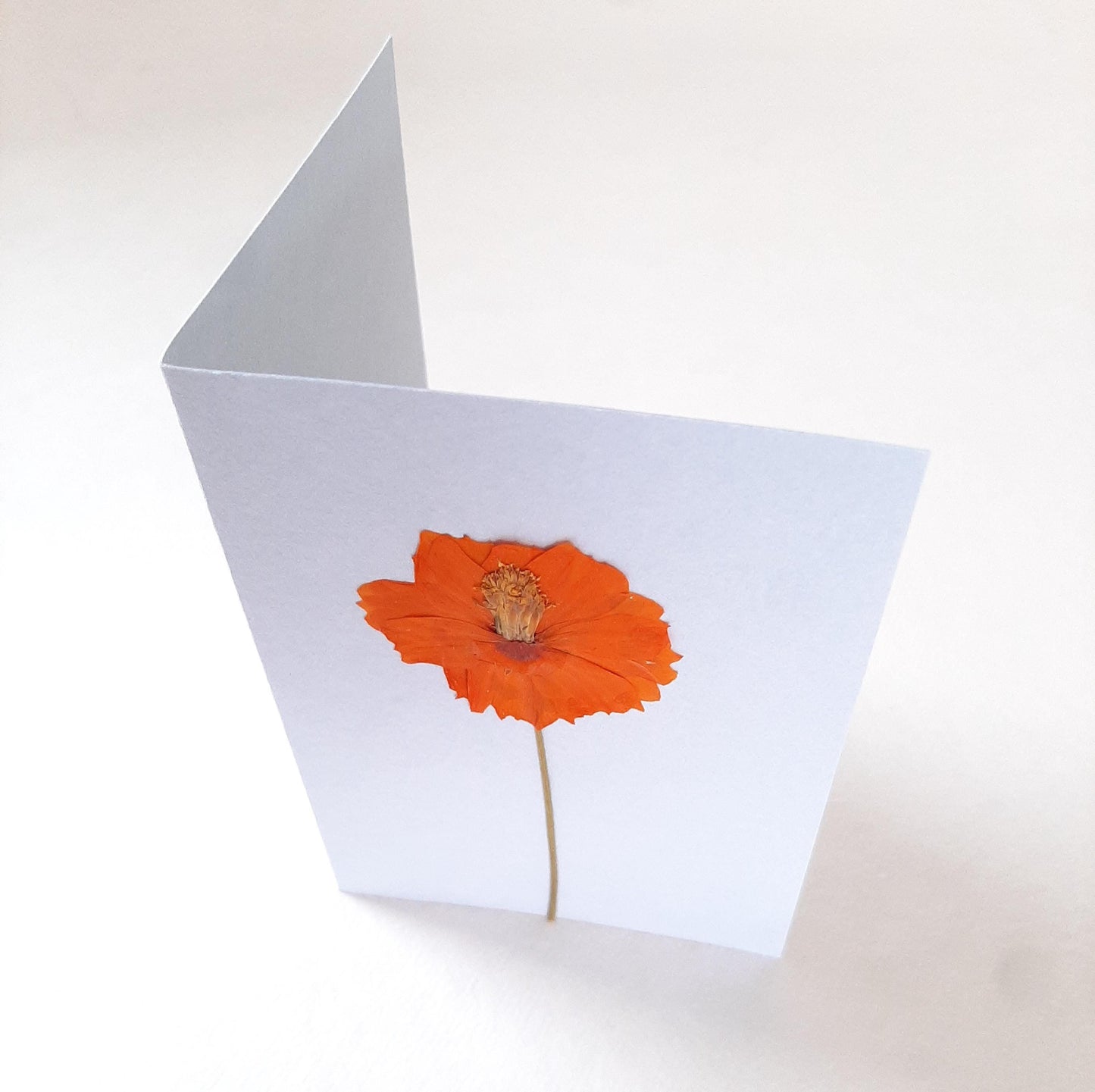 Set di tre biglietti con fiori e foglie veri pressati e busta origami