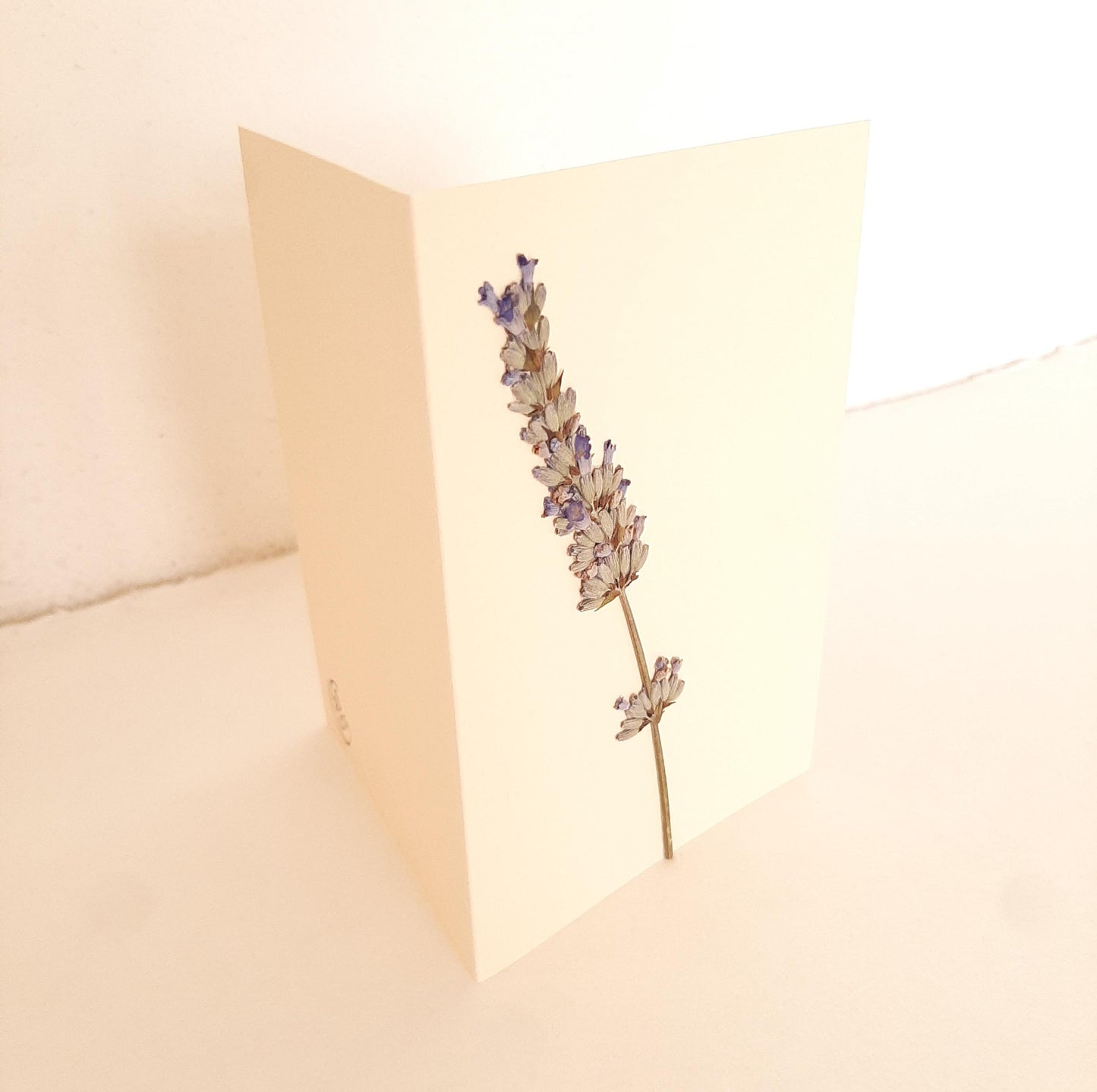 Set di tre biglietti floreali con busta con Lavanda e Acero Giapponese