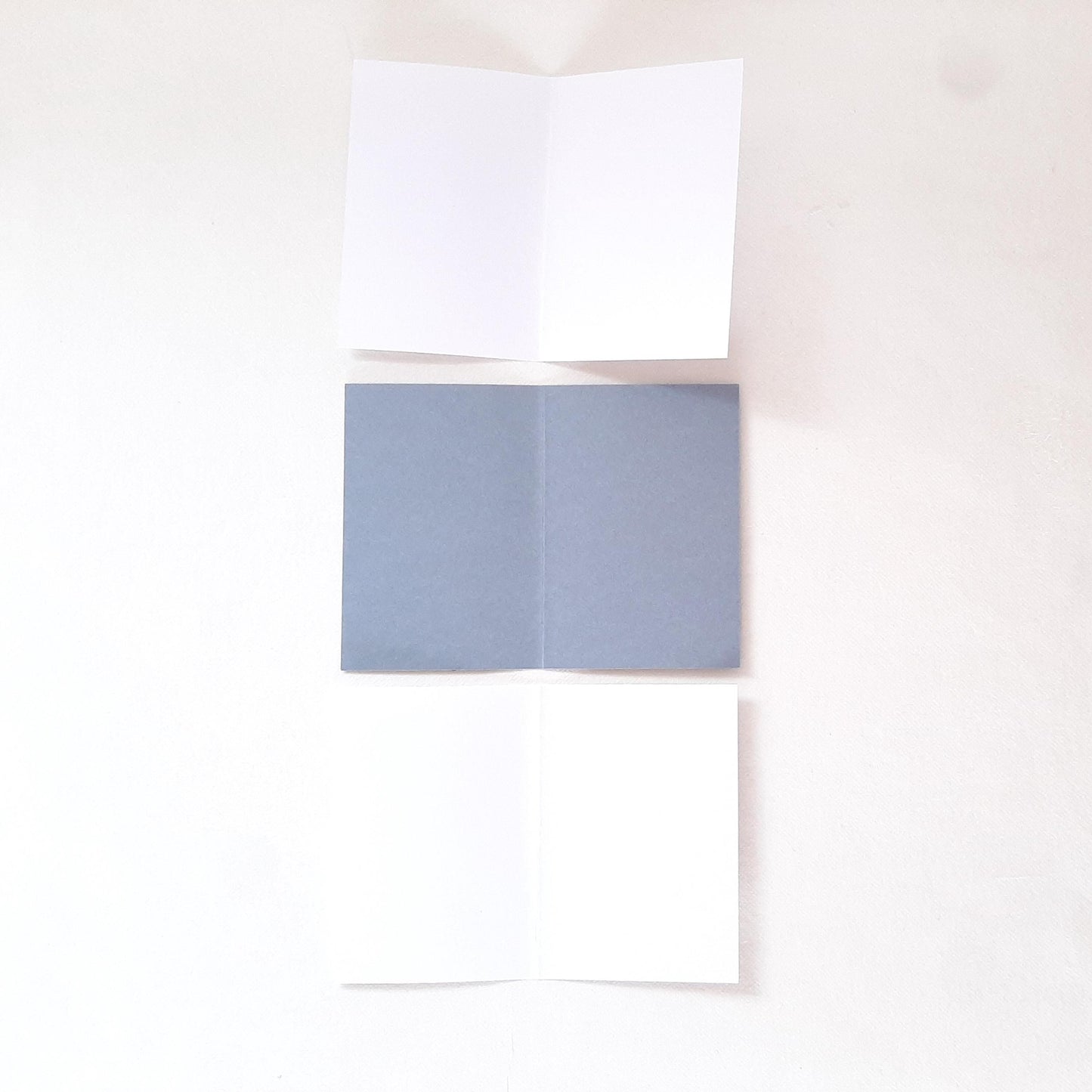 Biglietti auguri con Papavero e foglie pressati e busta origami