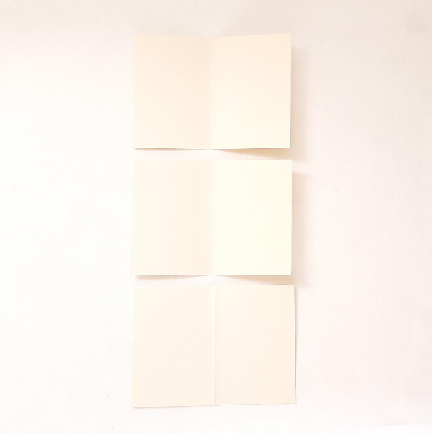 Set di tre biglietti auguri con fiori veri pressati e busta a origami