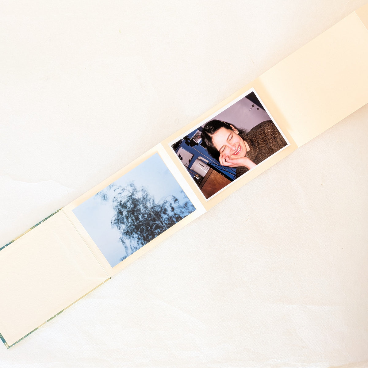 Album a fisarmonica rettangolare con fiori in verde e rosa