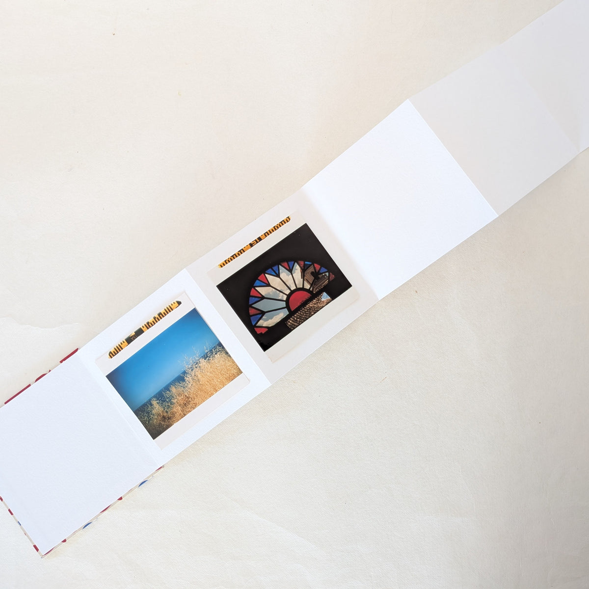 Mini album per istantanee con pesciolini