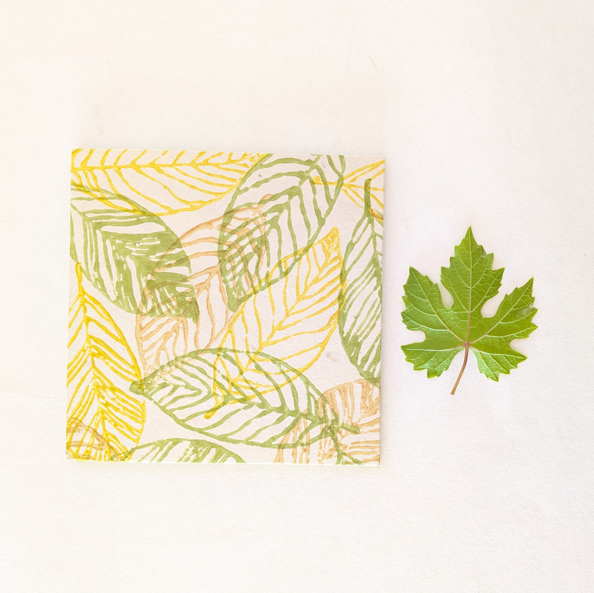 Album Leporello quadrato con foglie