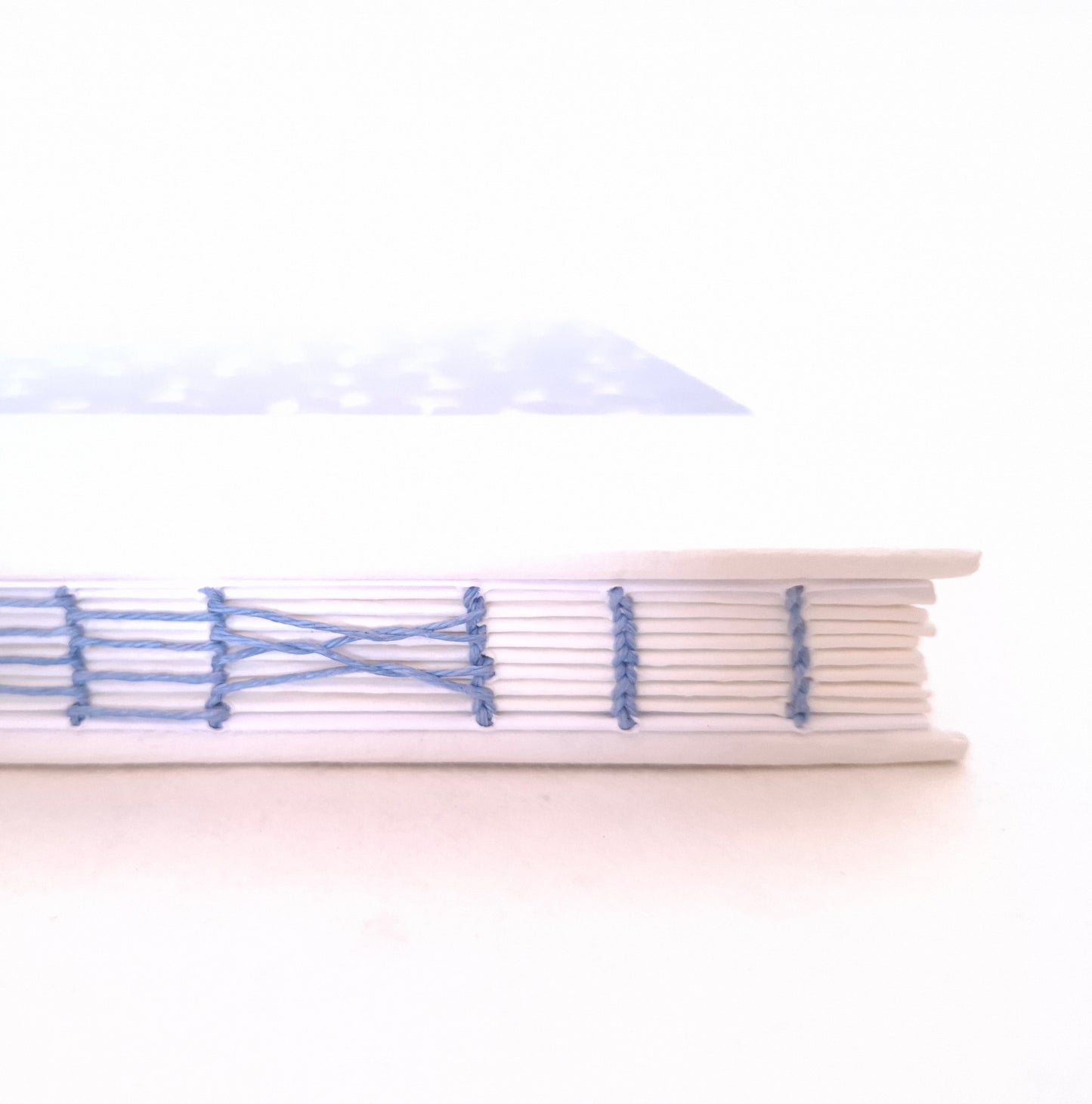 Album per acquerello con semi di soffione in bianco e celeste
