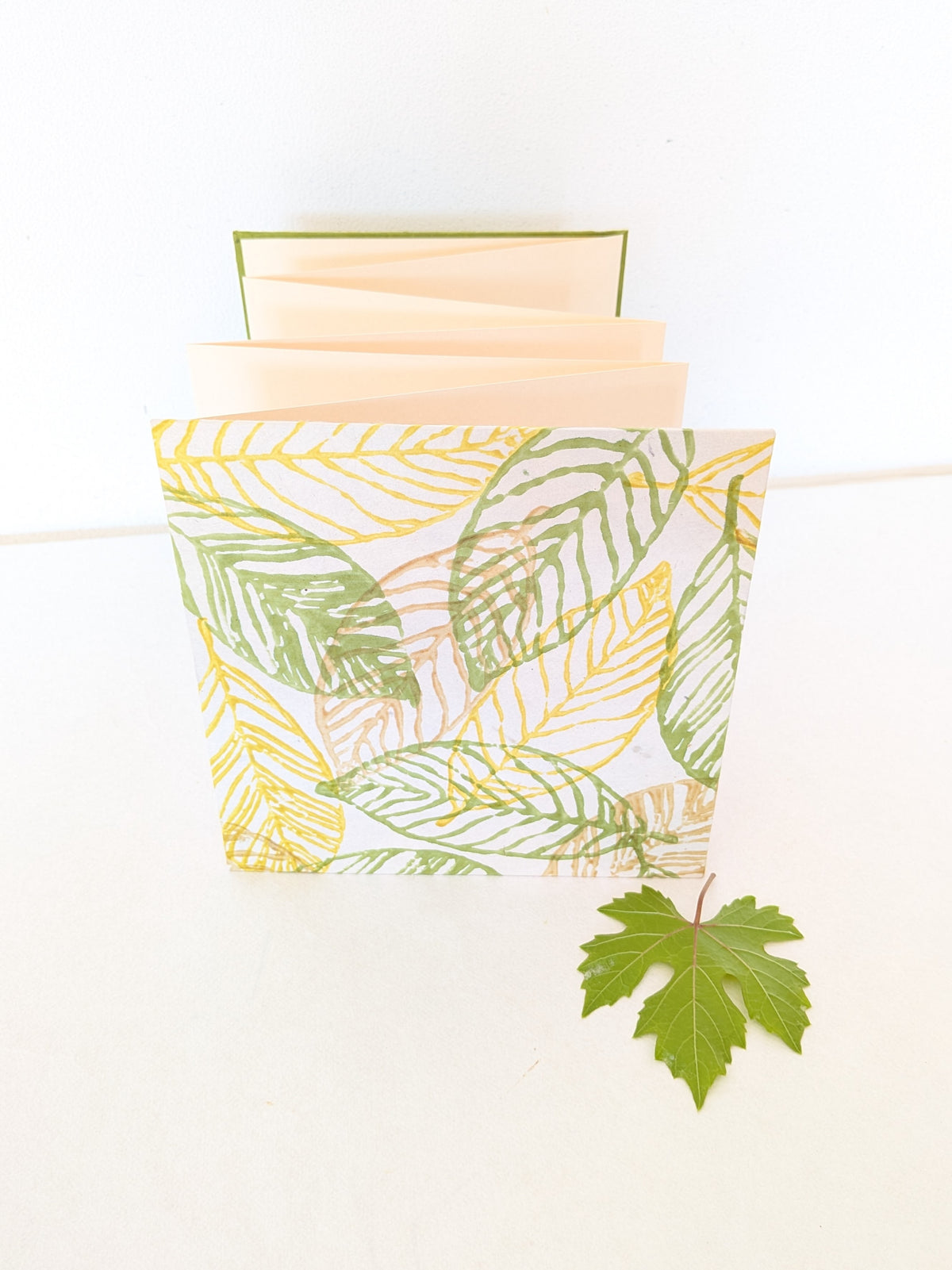 Album Leporello quadrato con foglie