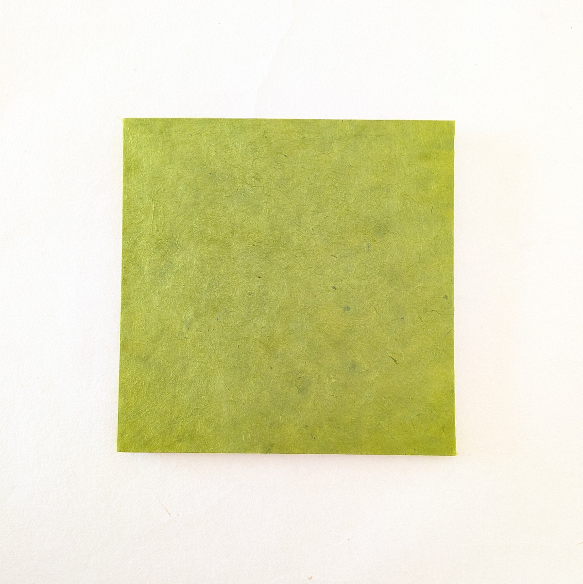 Album Leporello quadrato con foglie