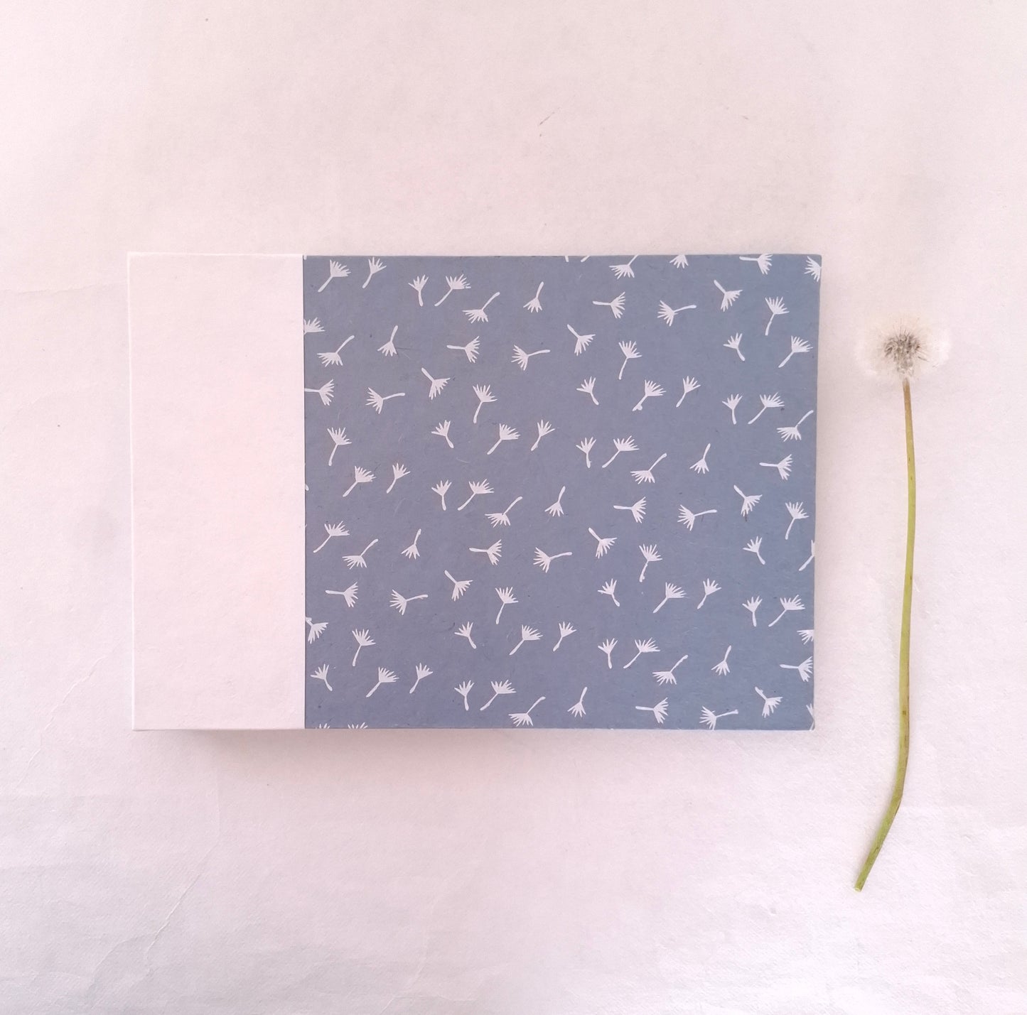 Album per acquerello con semi di soffione in bianco e celeste