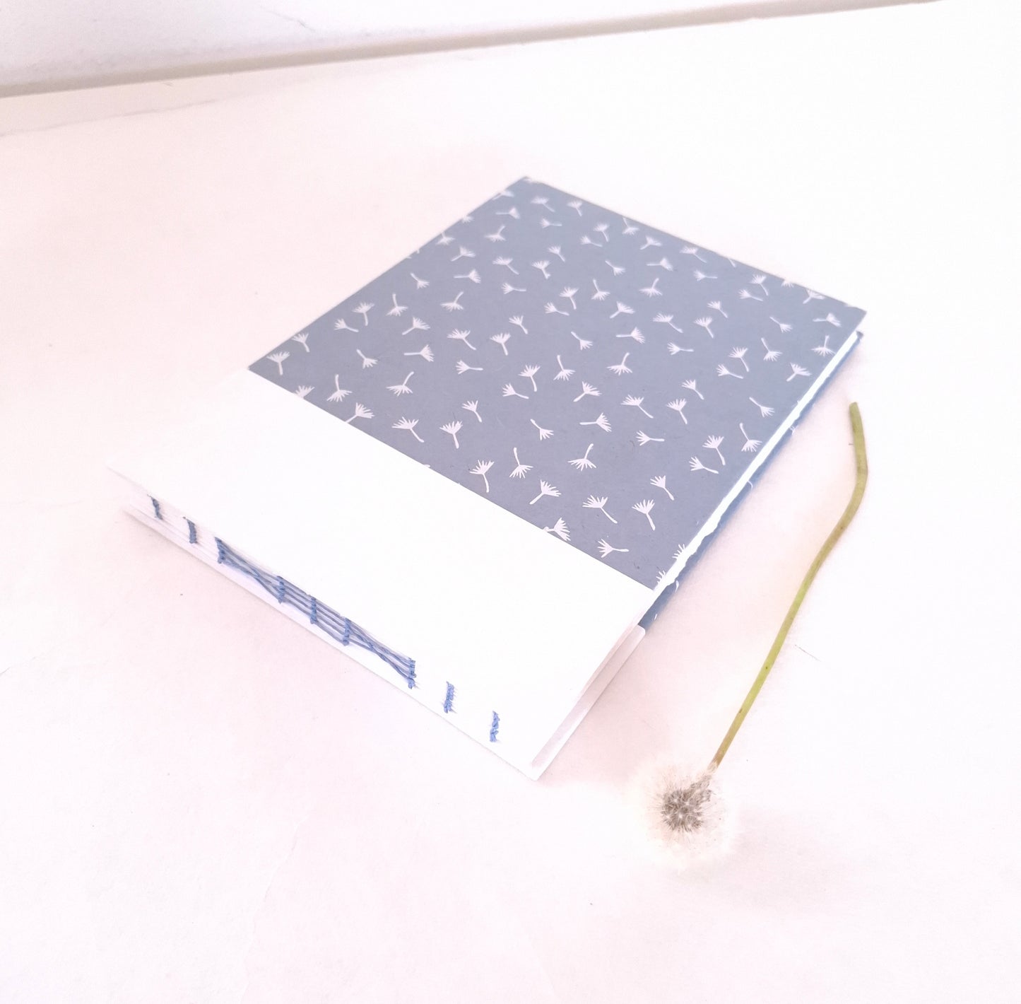 Album per acquerello con semi di soffione in bianco e celeste