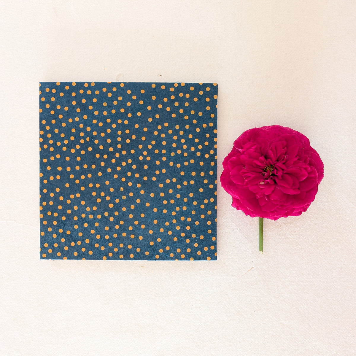 Mini album fotografico a fisarmonica con pois in miele e blu notte