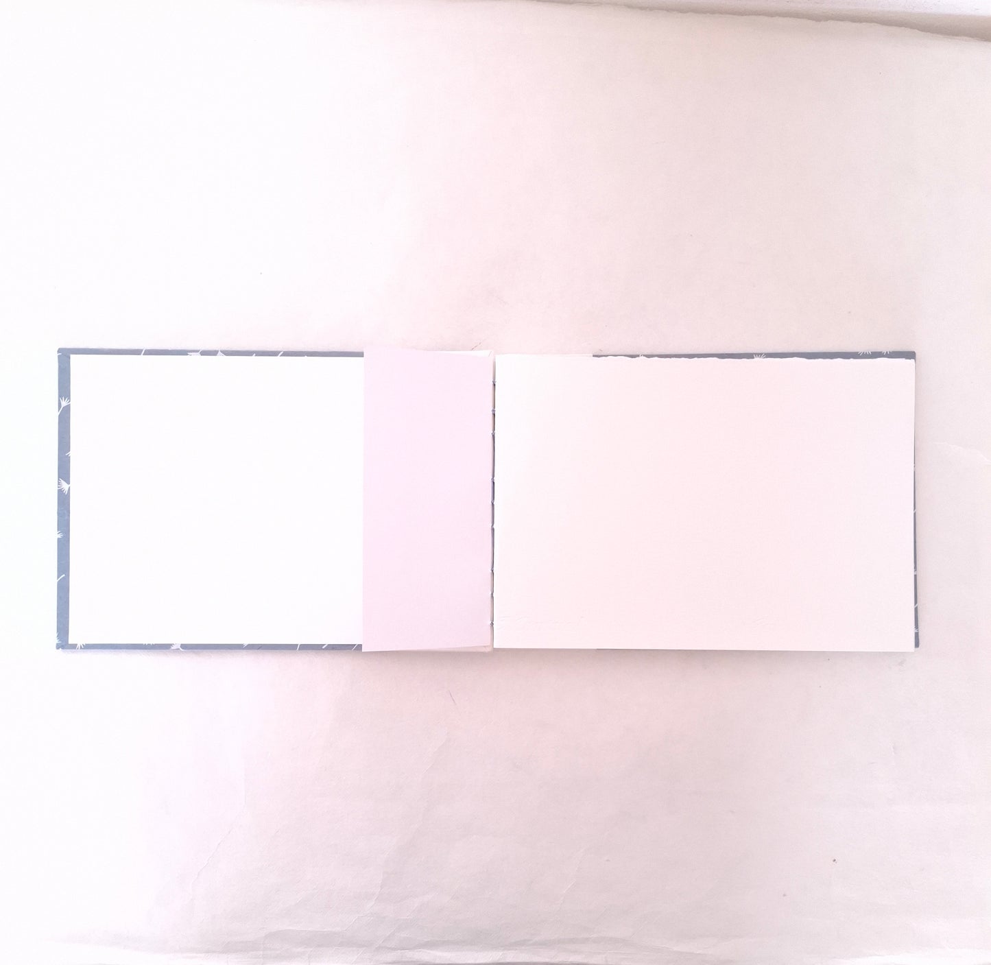 Album per acquerello con semi di soffione in bianco e celeste