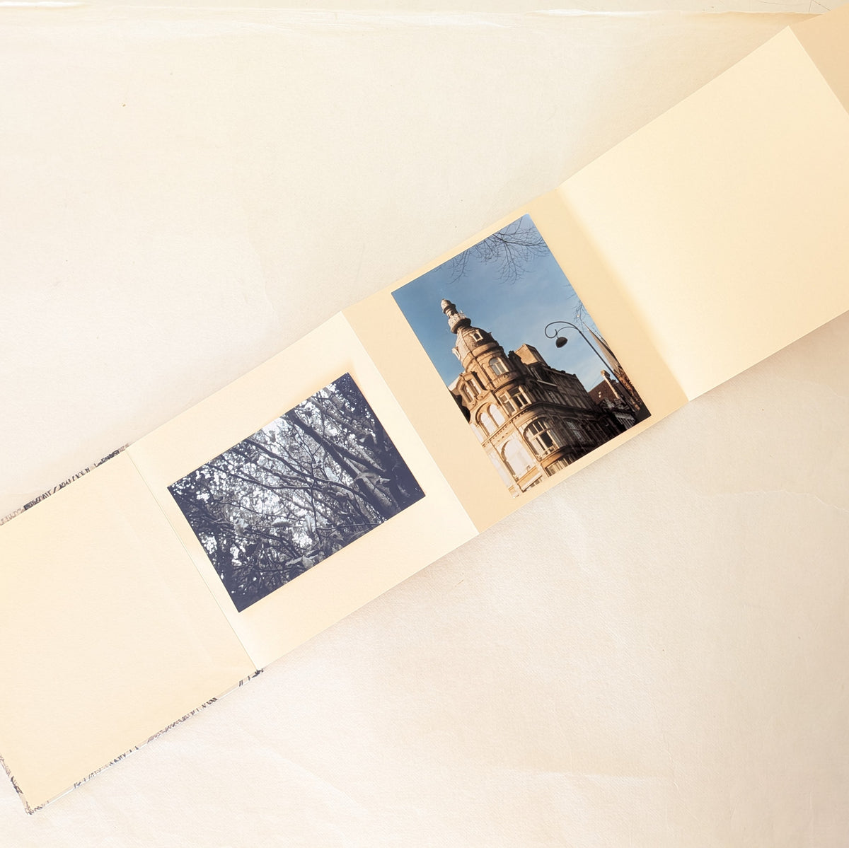Album Leporello quadrato con fiori di Carota Selvatica