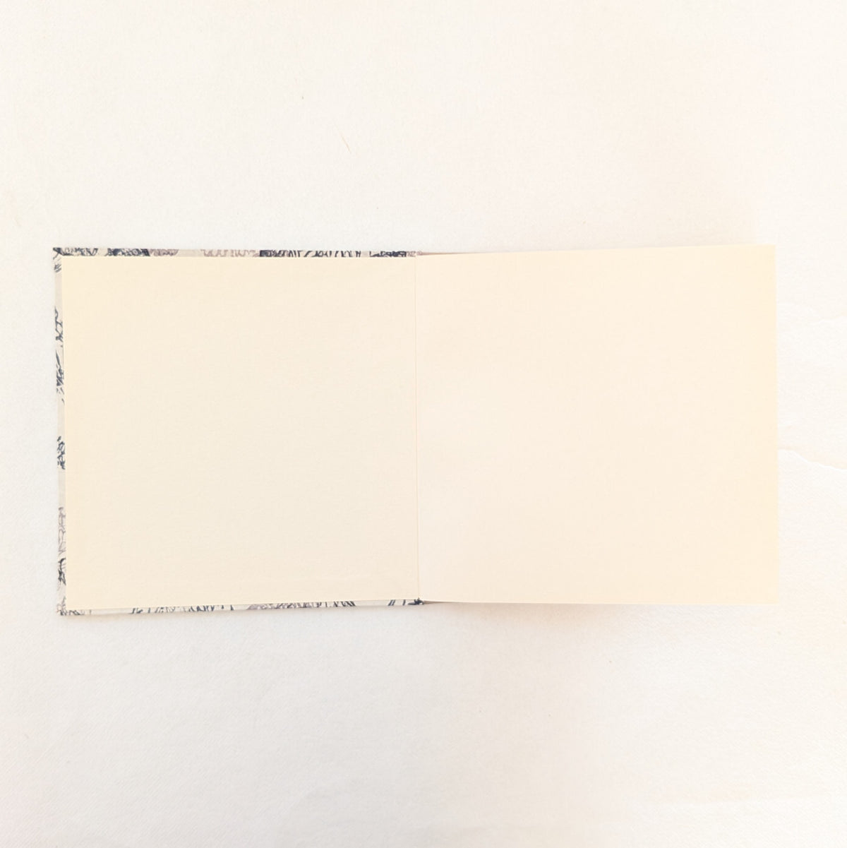 Album Leporello quadrato con fiori di Carota Selvatica