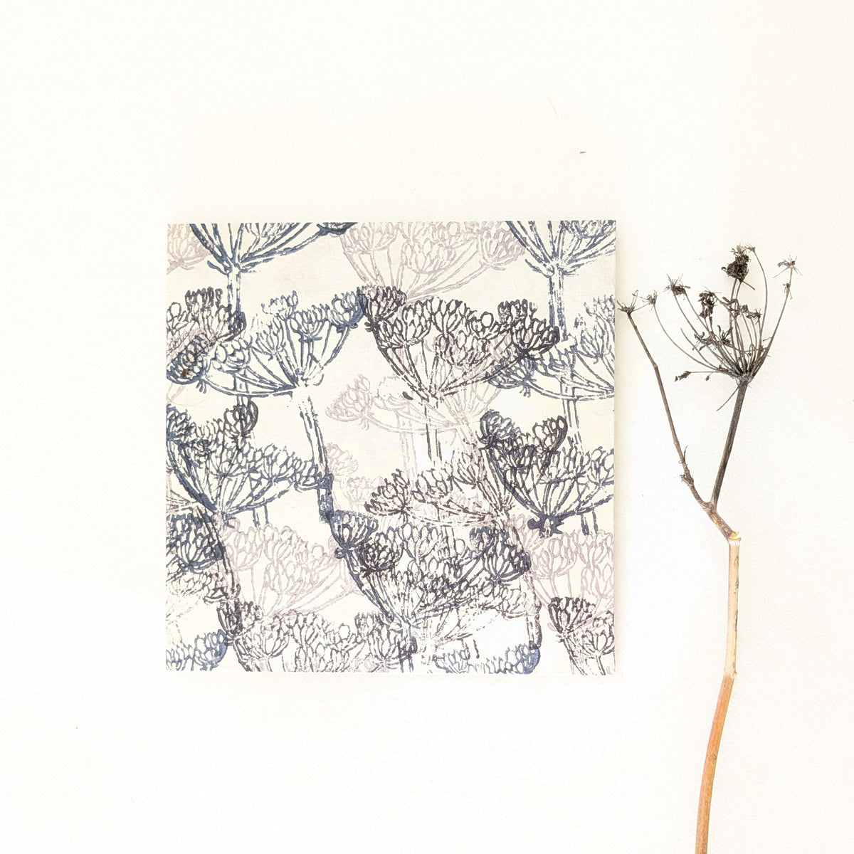 Album Leporello quadrato con fiori di Carota Selvatica