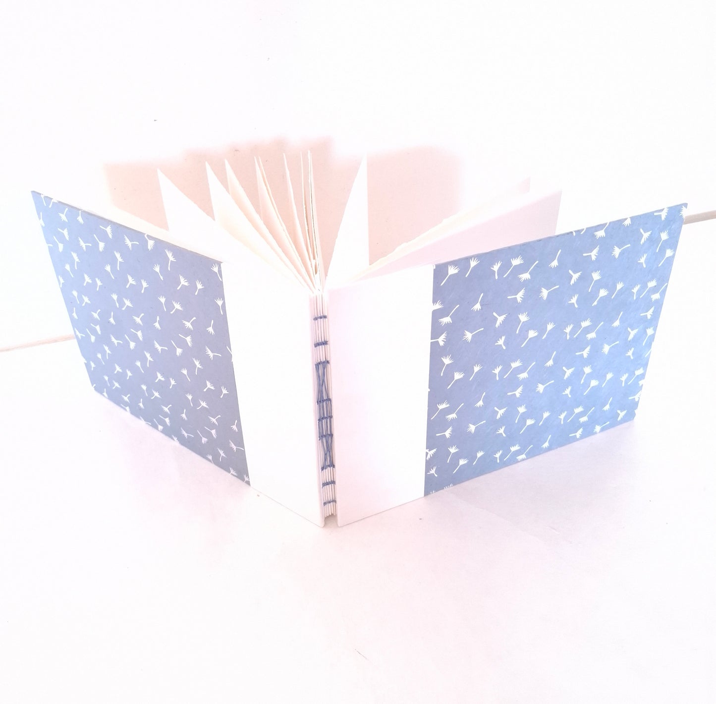 Album per acquerello con semi di soffione in bianco e celeste
