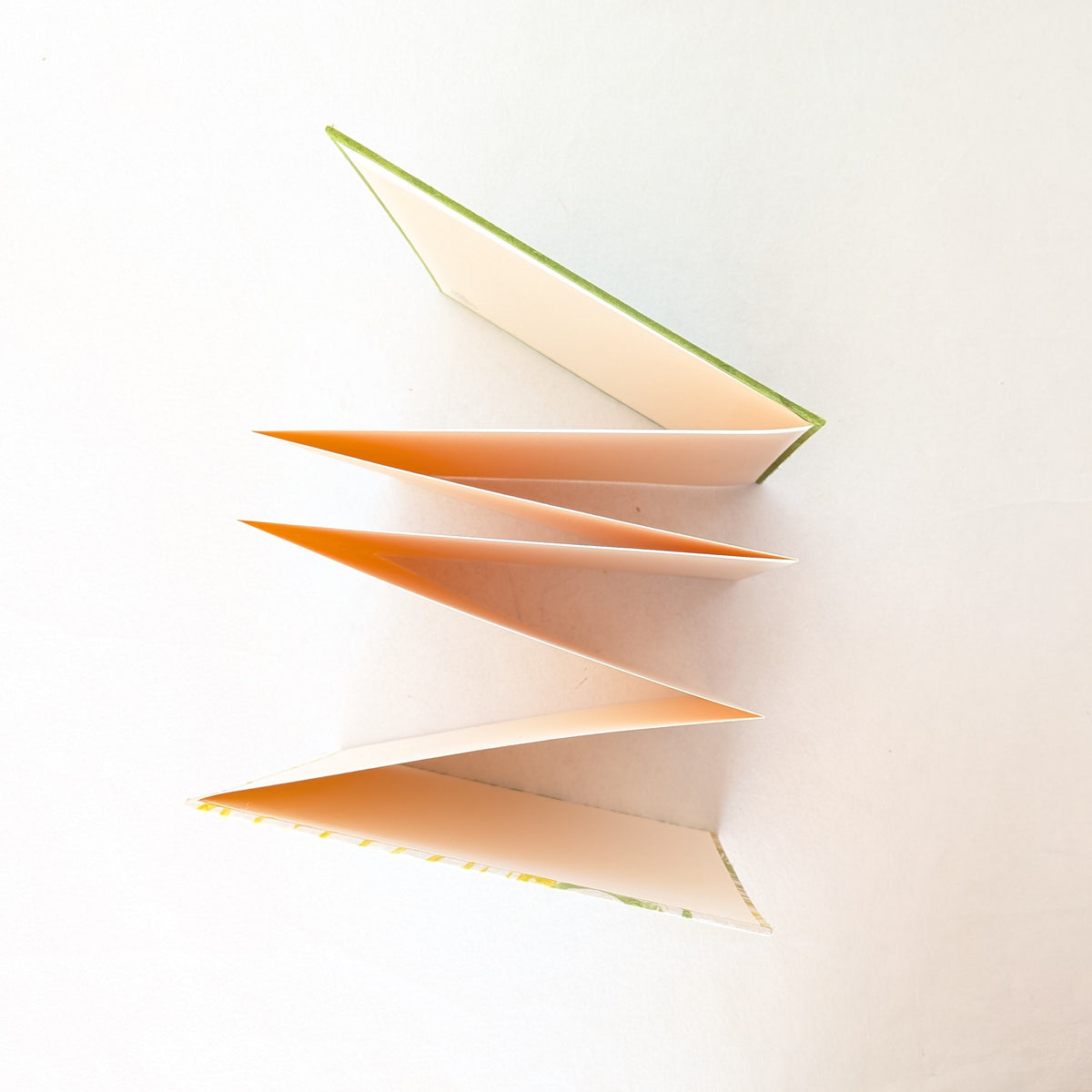 Album Leporello quadrato con foglie