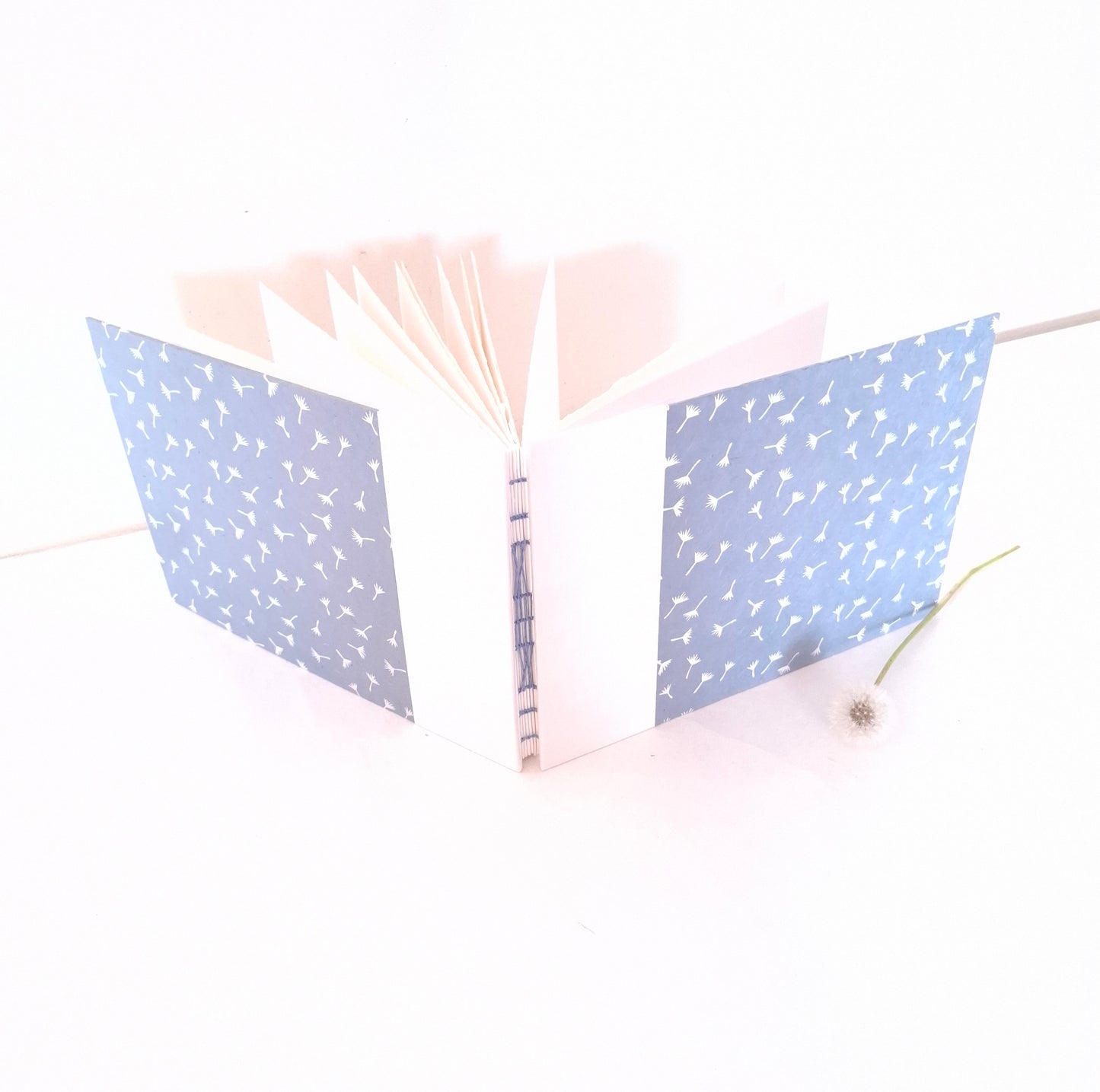 Album per acquerello con semi di soffione in bianco e celeste