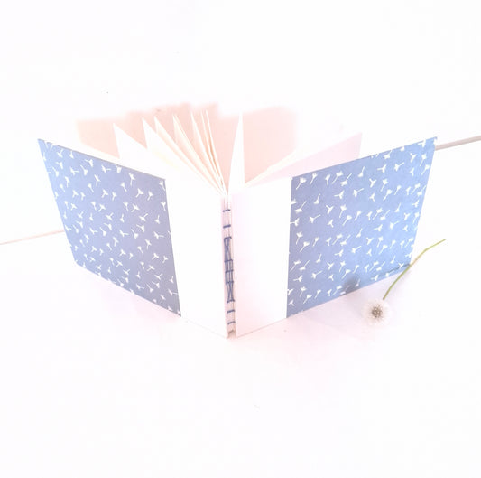 Album per acquerello con semi di soffione in bianco e celeste