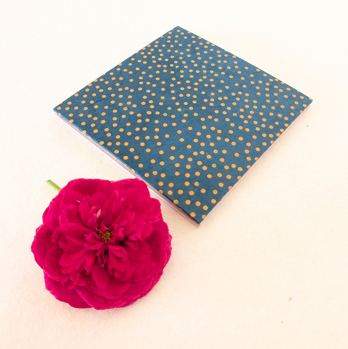 Mini album fotografico a fisarmonica con pois in miele e blu notte