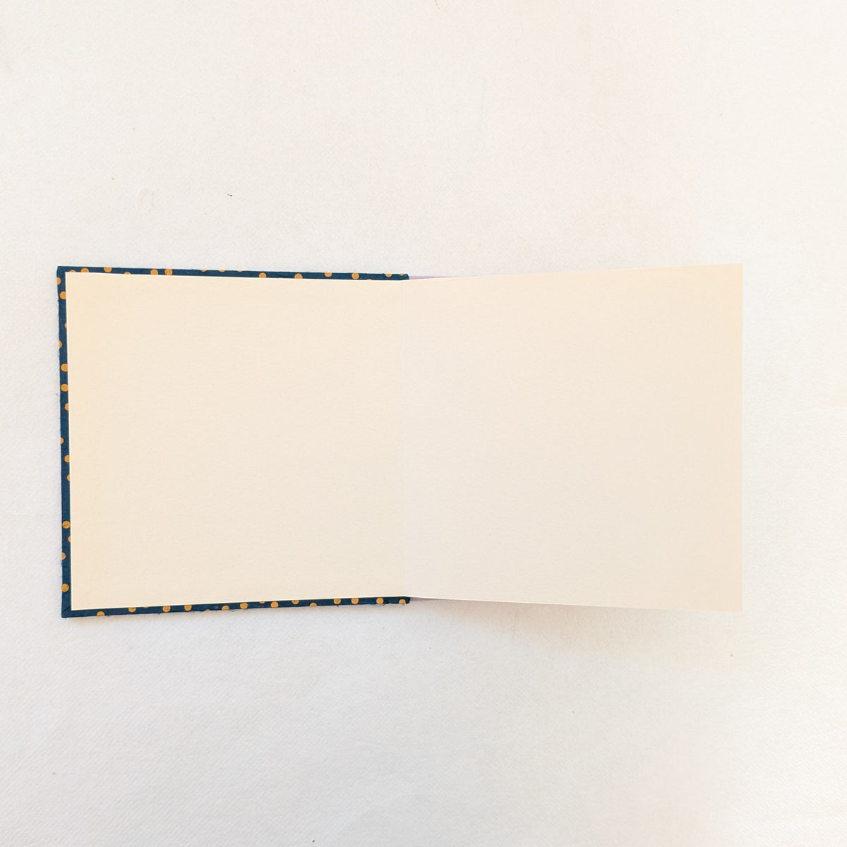 Mini album fotografico a fisarmonica con pois in miele e blu notte