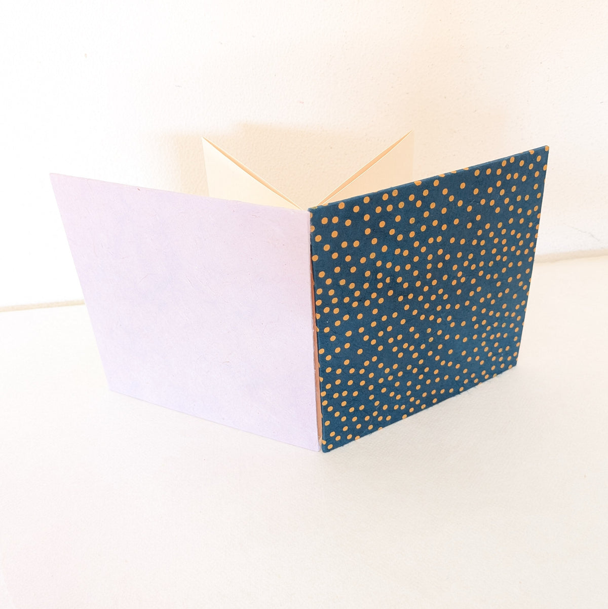 Mini album fotografico a fisarmonica con pois in miele e blu notte