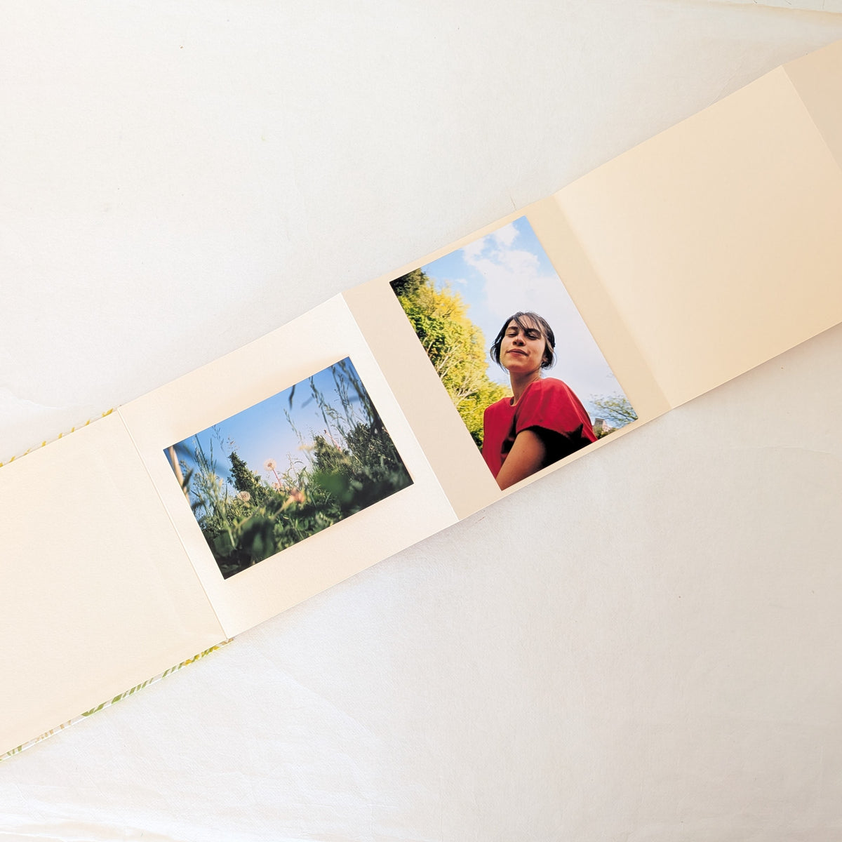 Album Leporello quadrato con foglie