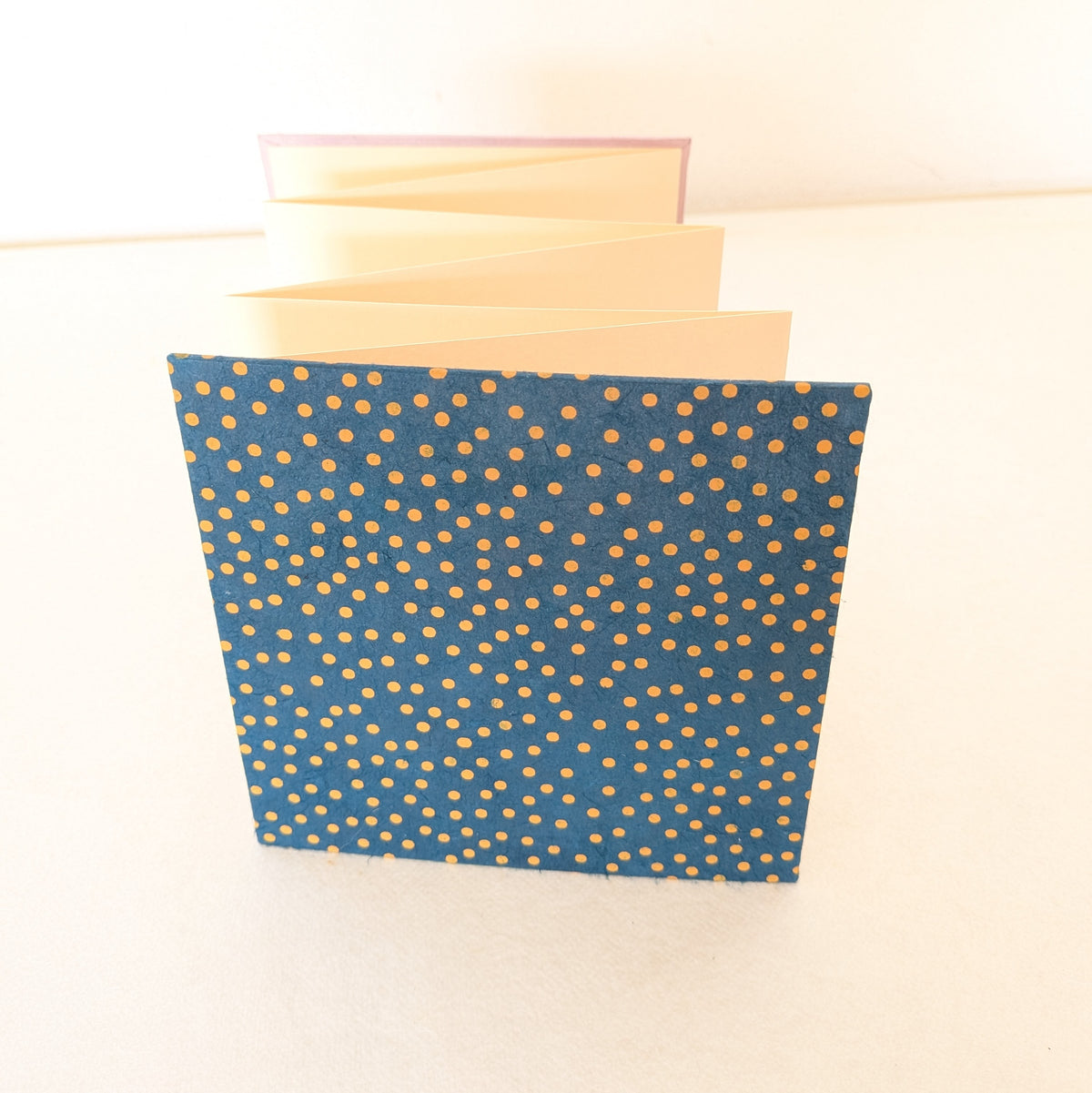 Mini album fotografico a fisarmonica con pois in miele e blu notte